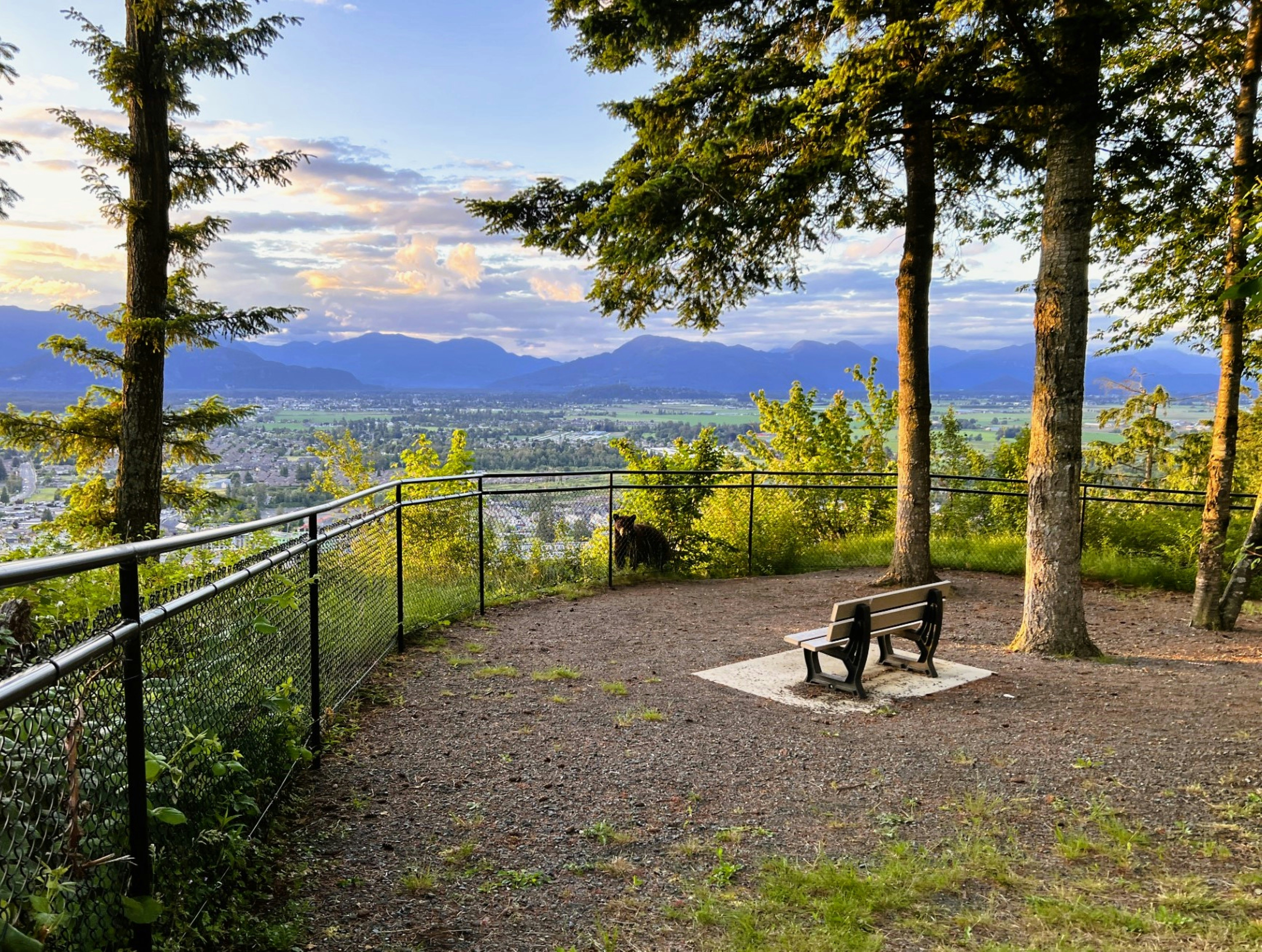 IG dougnealy99 Giclee prints for sale. Went to this park for a sunset saw a young black bear. Were is mom?
