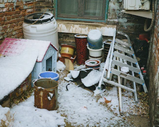 Snowy backyard with a dog house, buckets, and a ladder