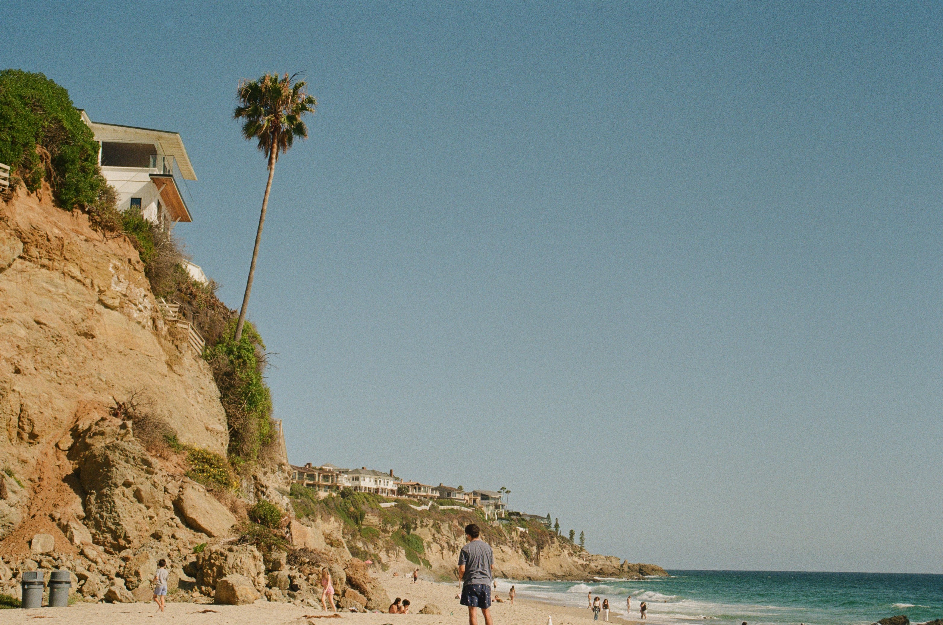 Coastal beach with a cliff, palm tree, and ocean.