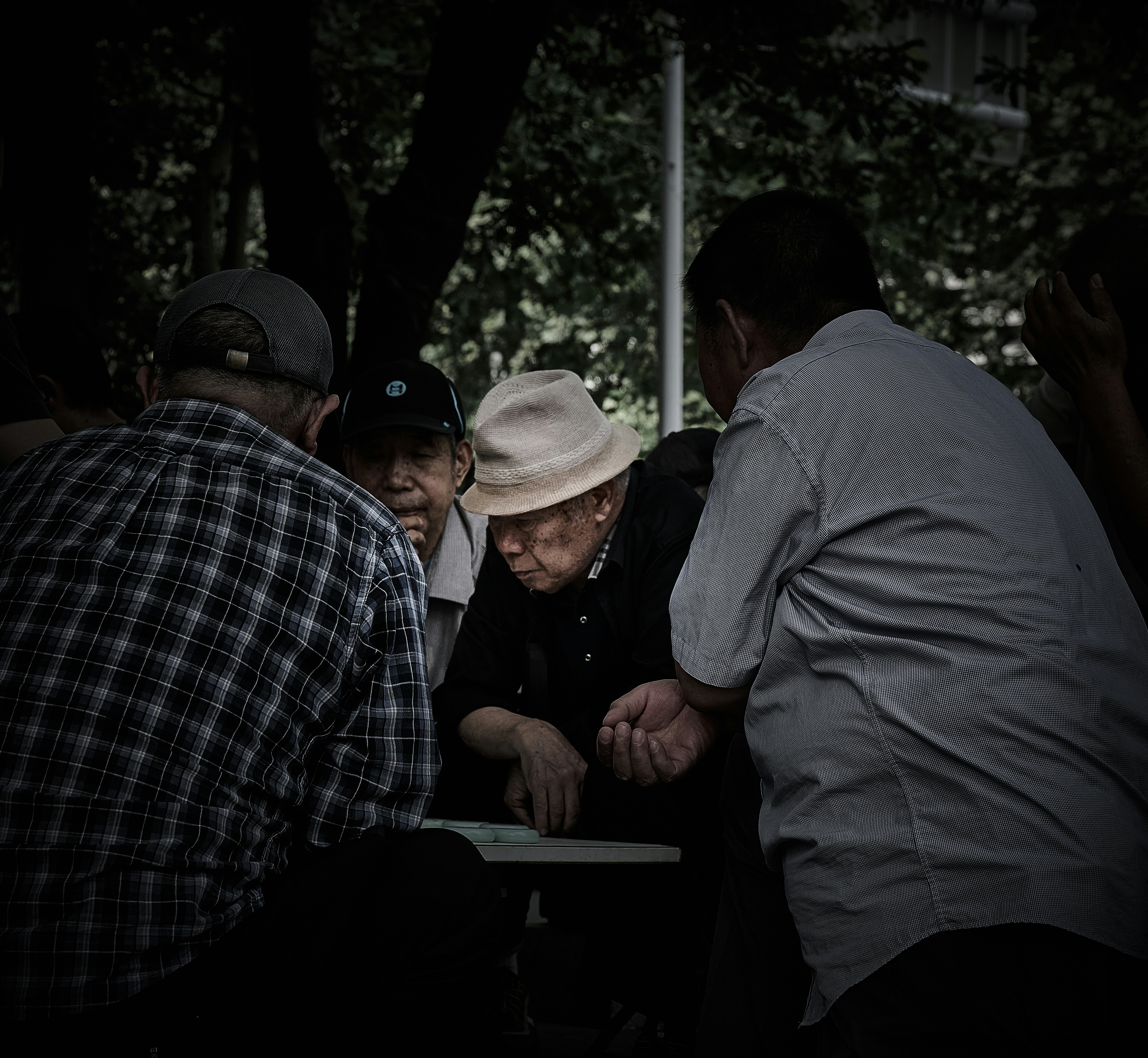 Photo by zeg