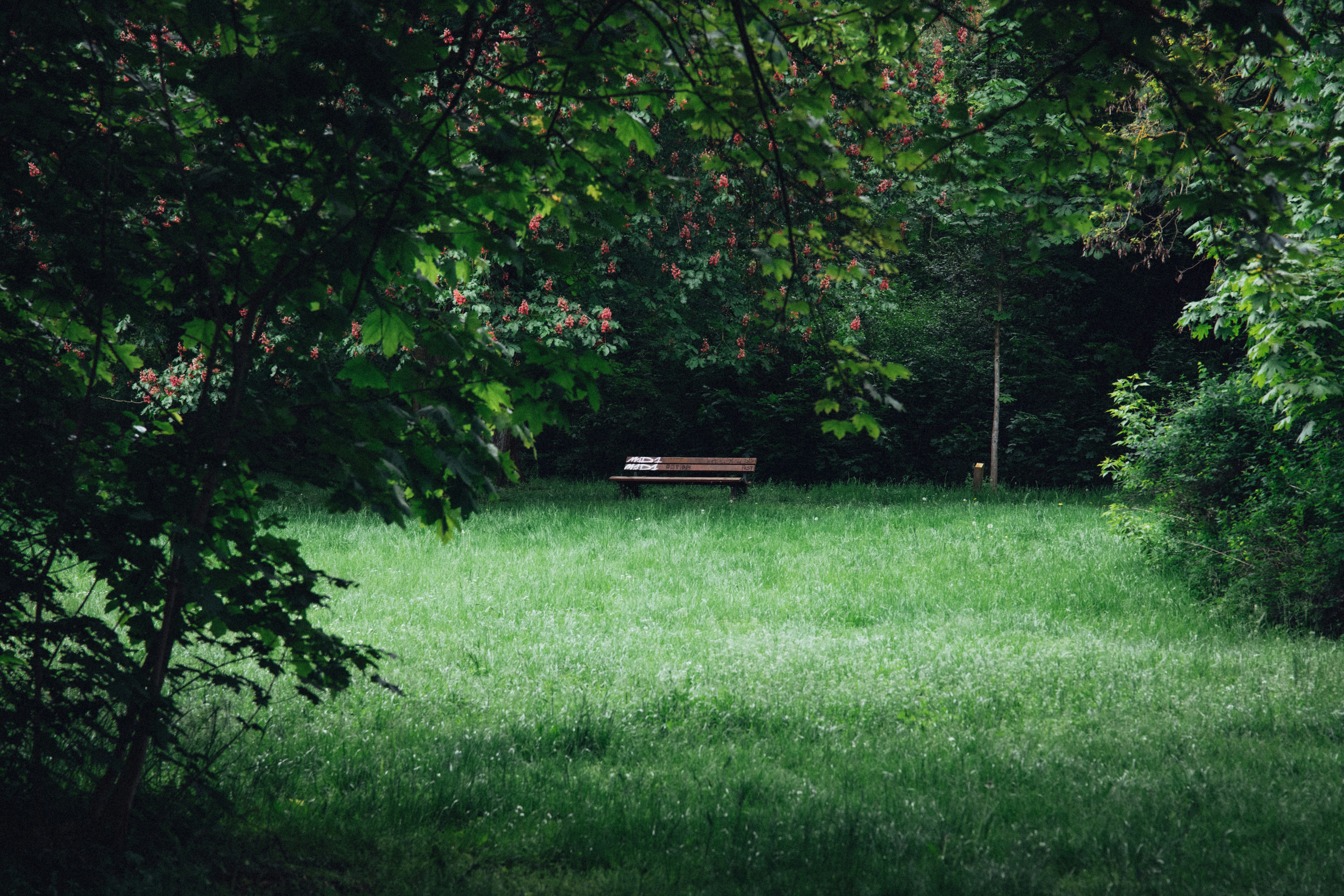 Photo by benkupke