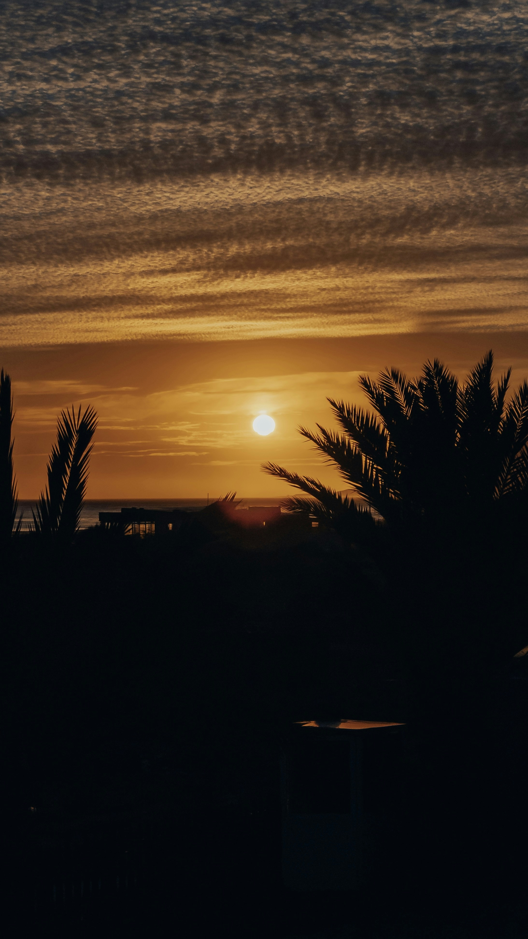 Photo by katatoniaa
