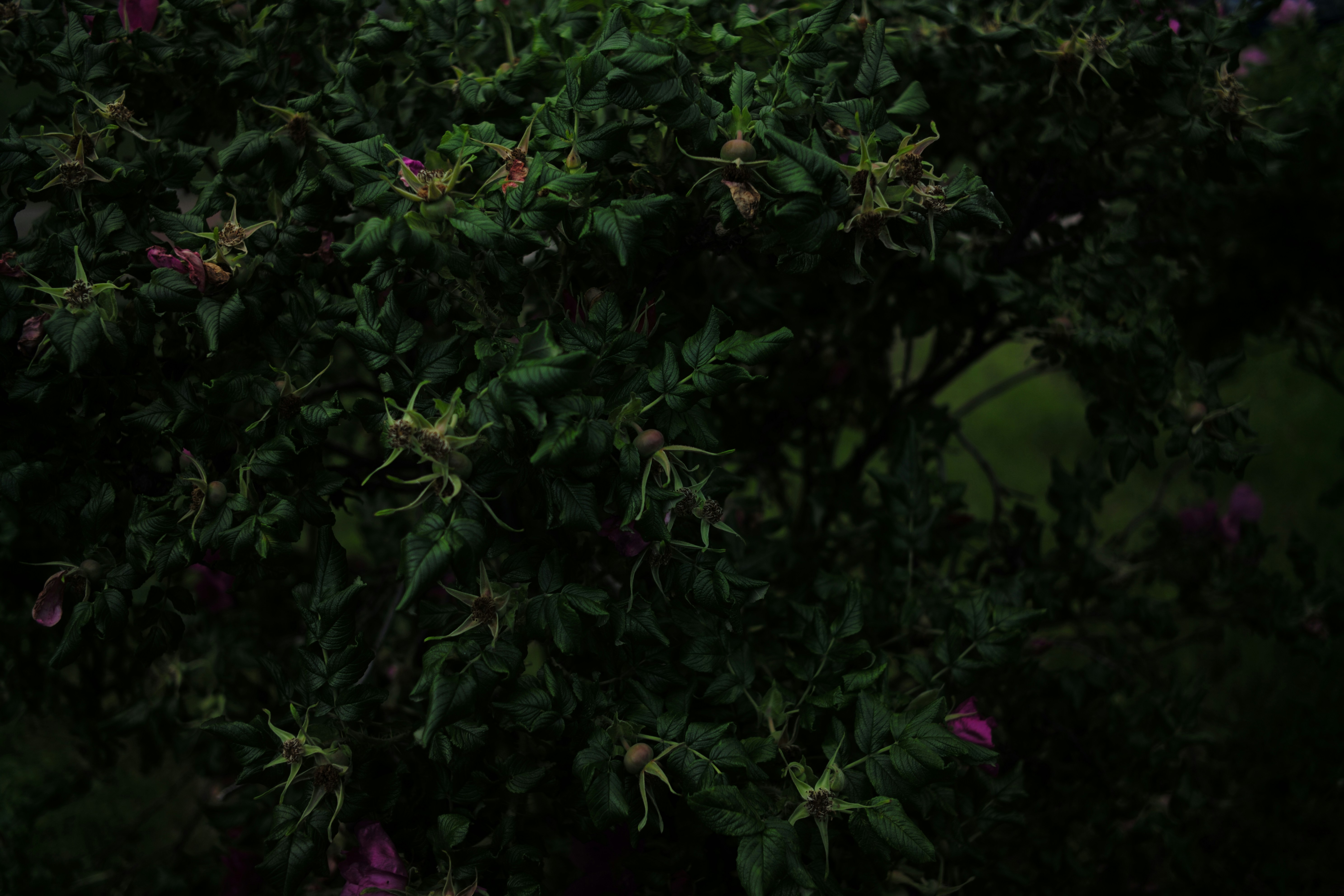 Photo by dmonin