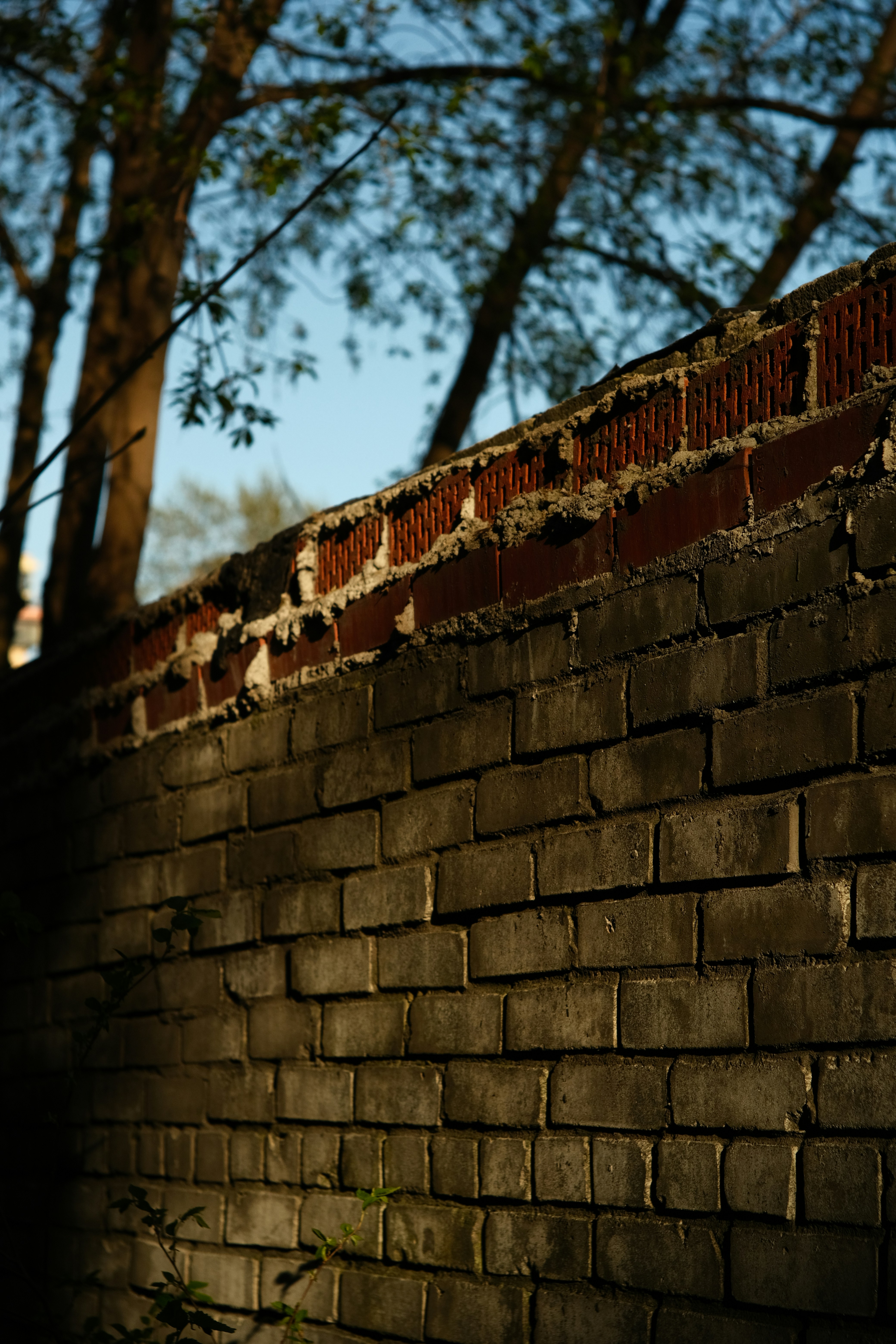 Photo by dmonin