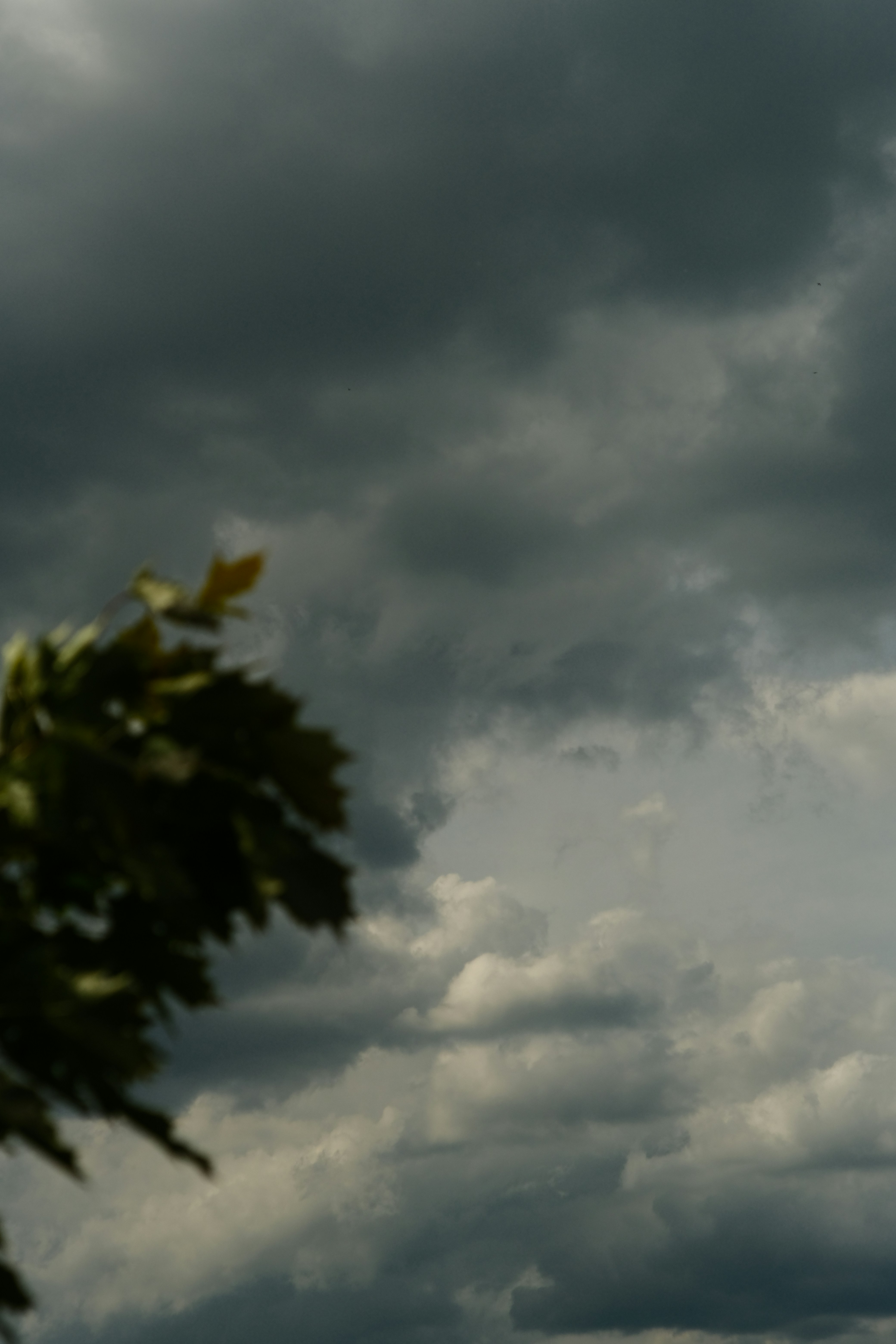 Photo by dmonin
