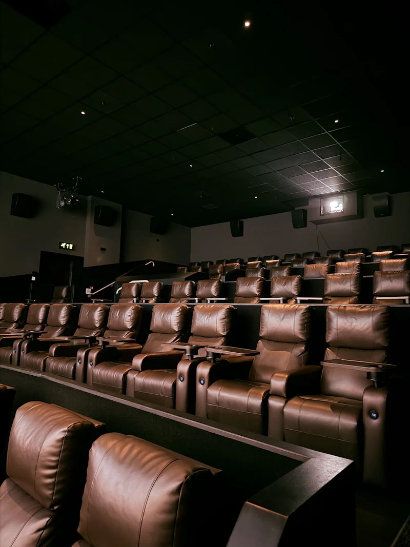 Rows of empty theater seats facing the screen in the dark — where documentary work finally meets its audience.