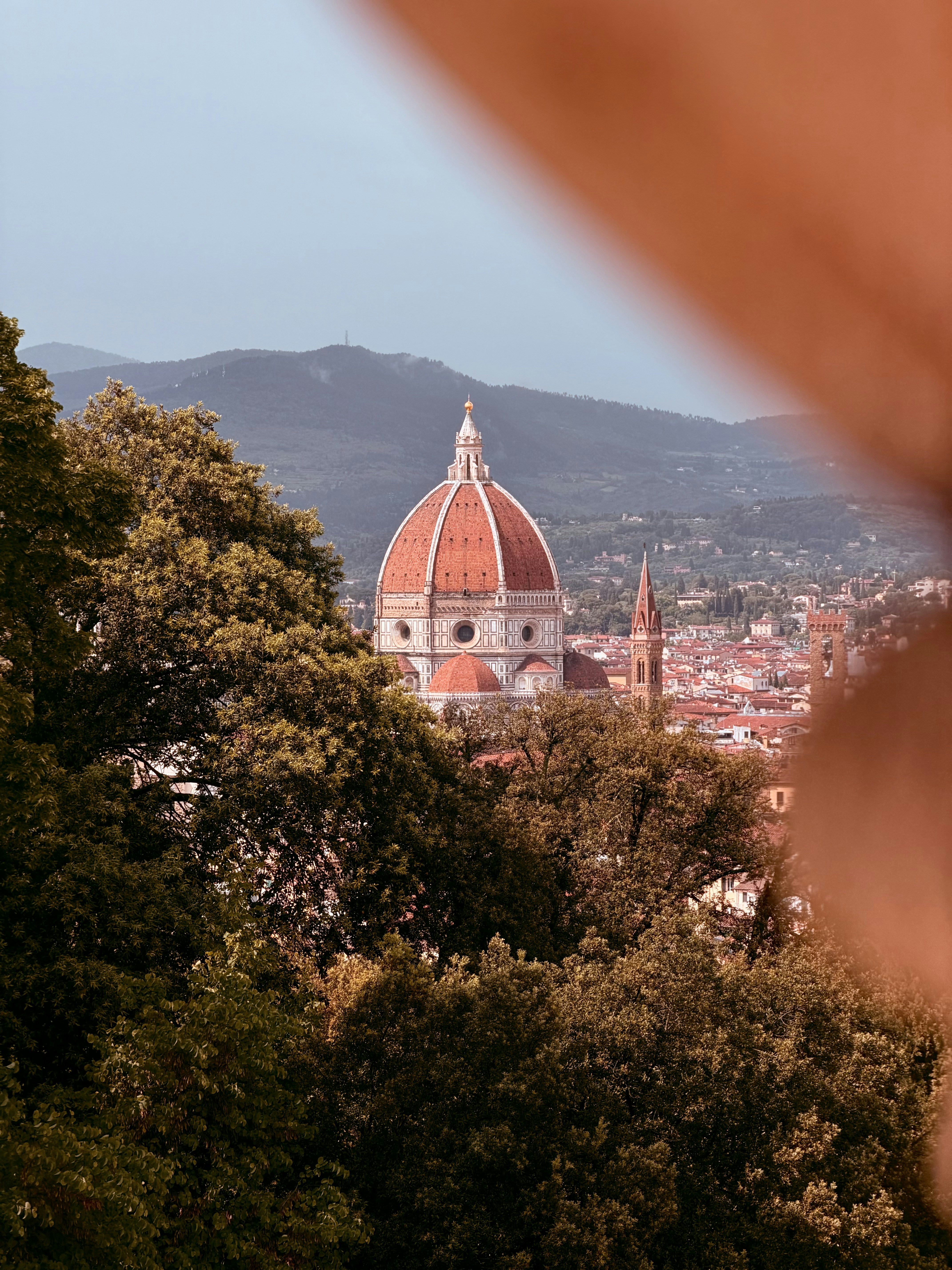 Florence cathedral dome framed by trees overlooking the city.