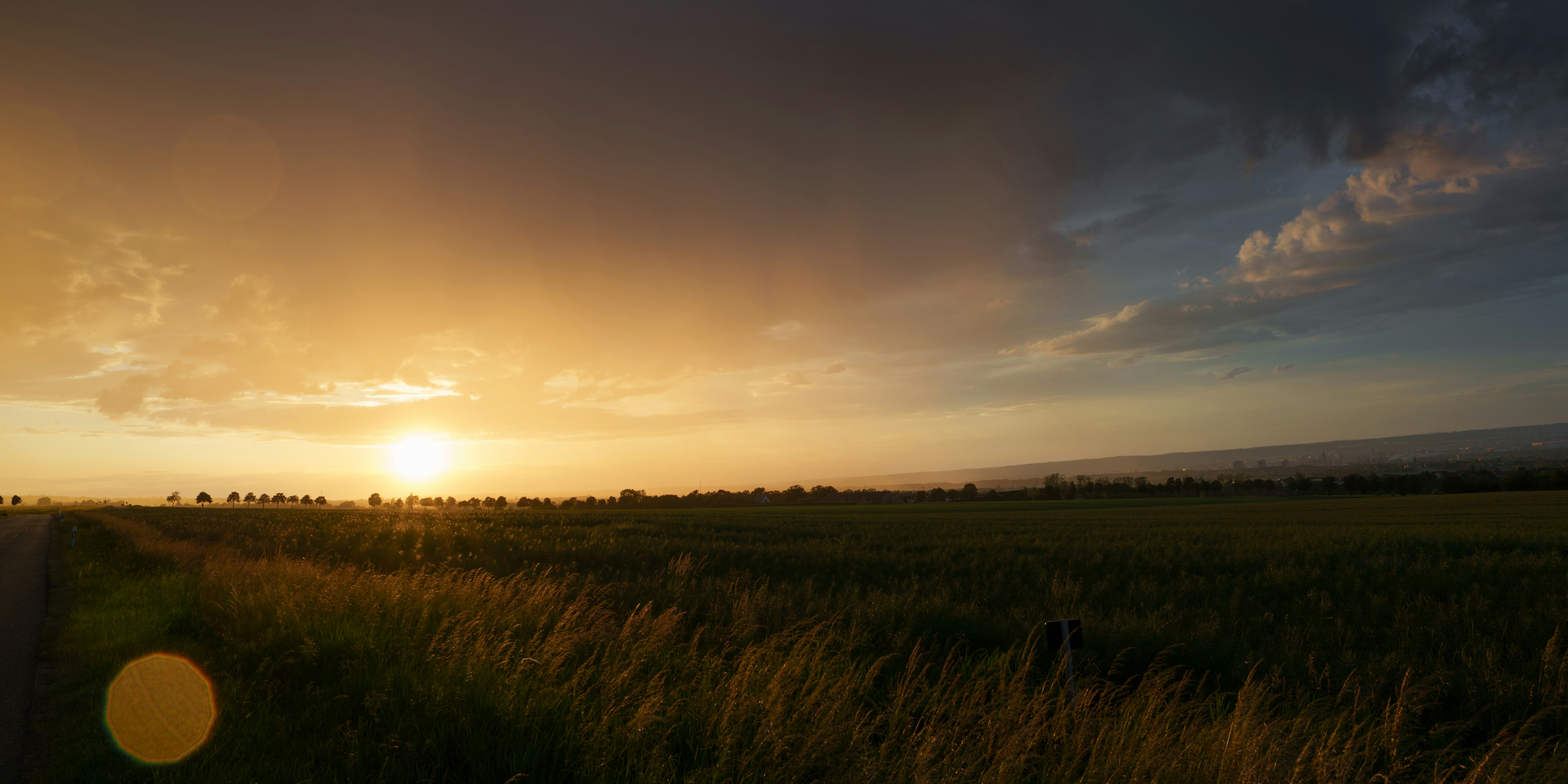 Golden sunset over a vast field with tall grasses