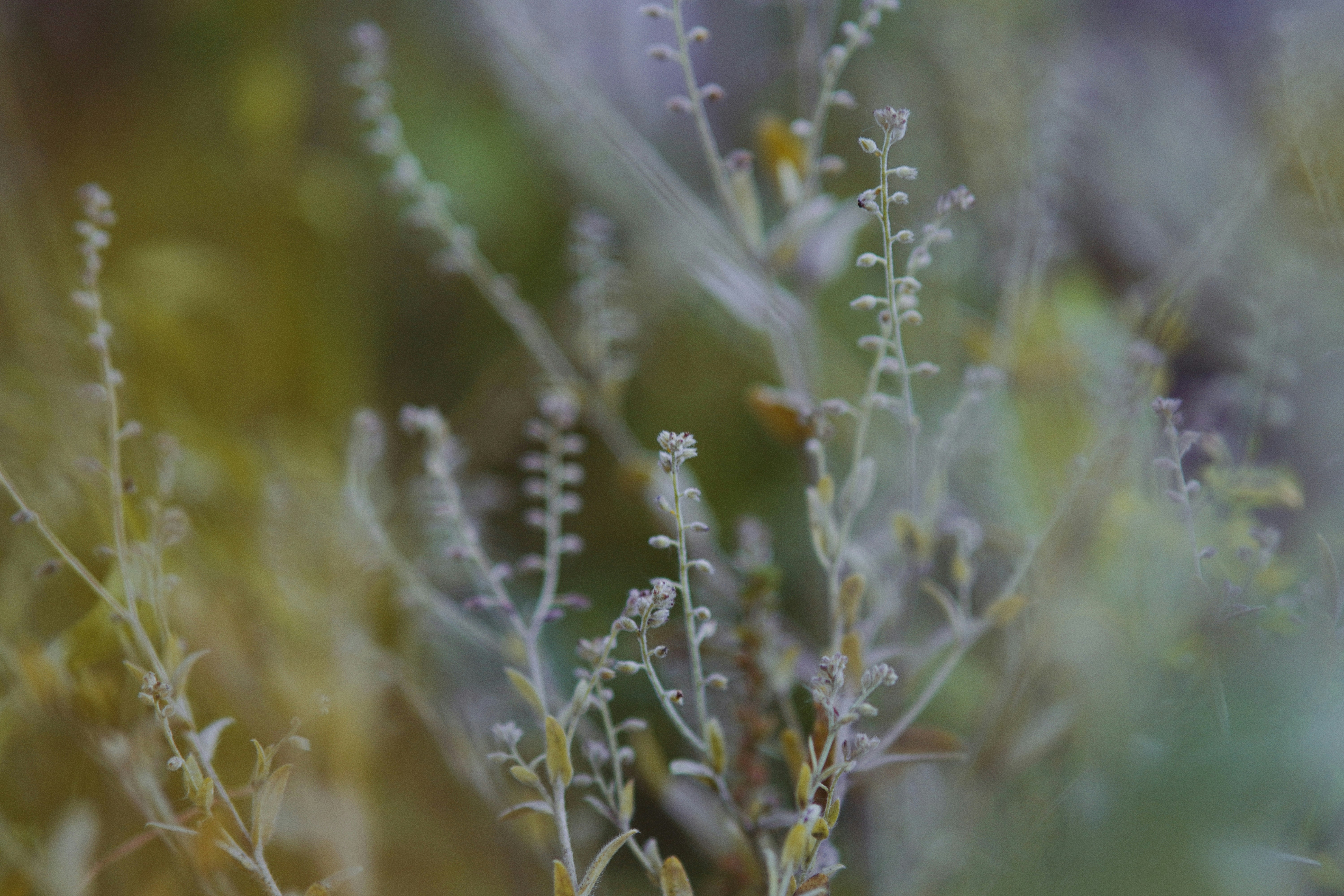 Photo by loveleencherub