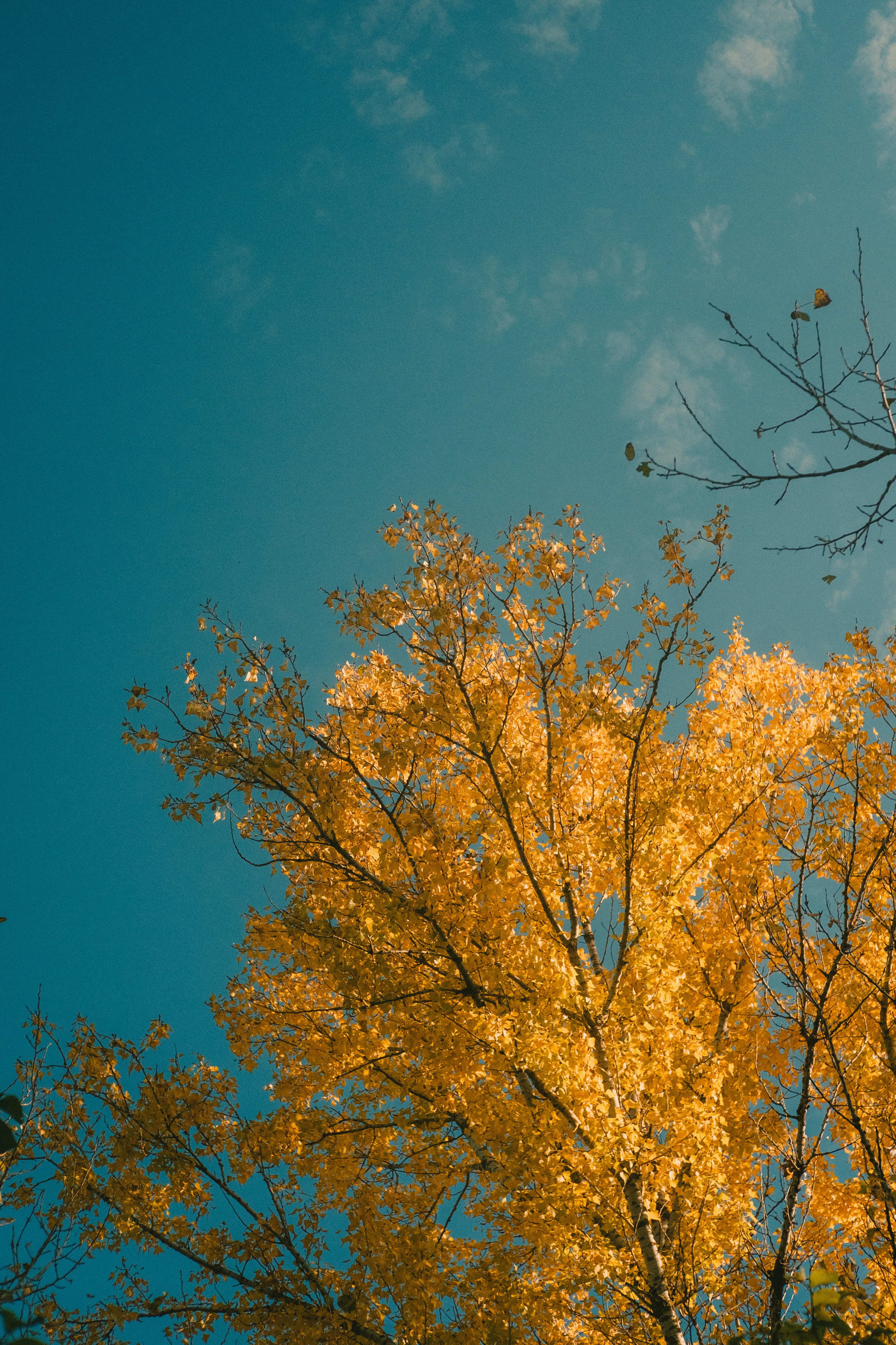 Photo by voolyk