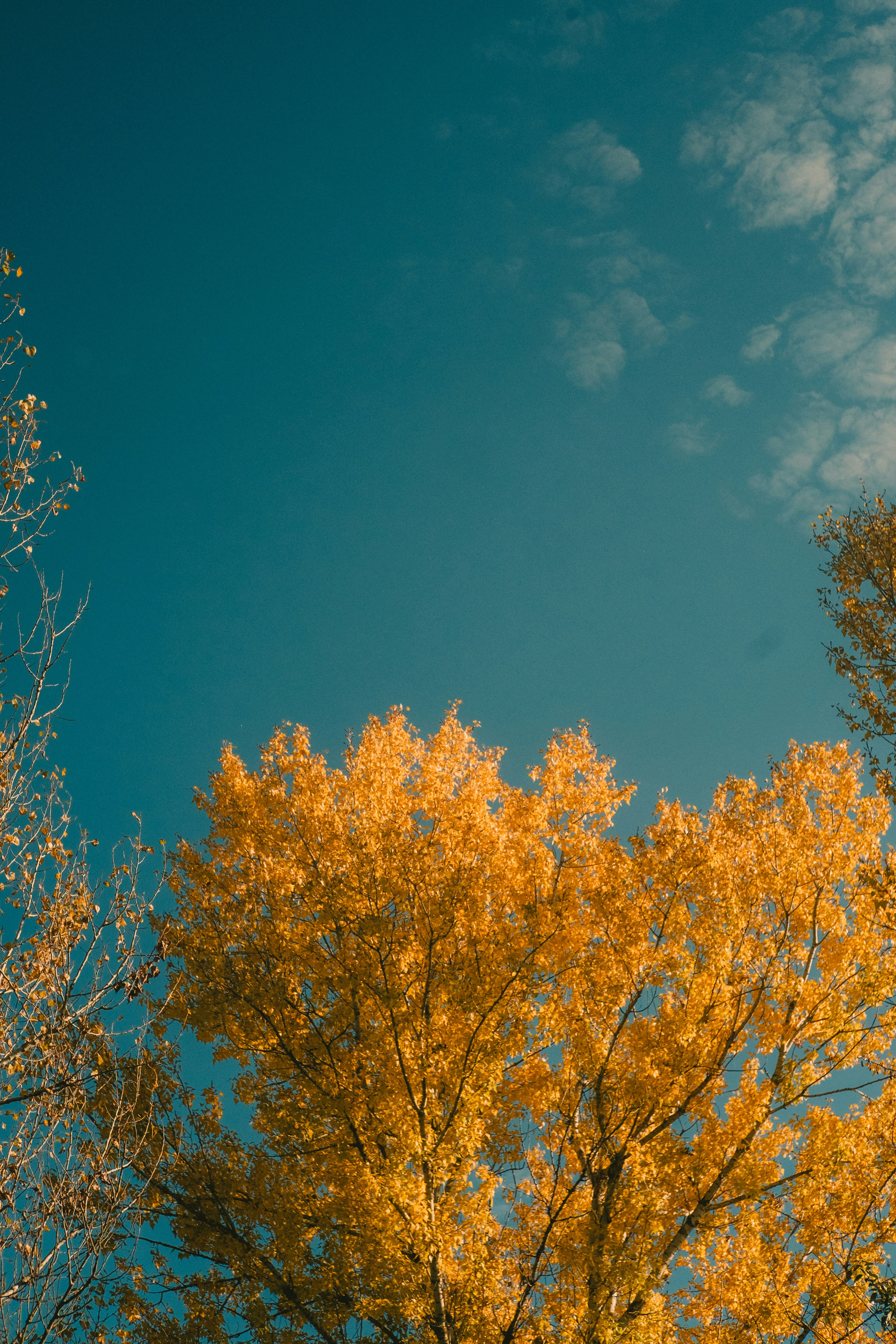 Photo by voolyk