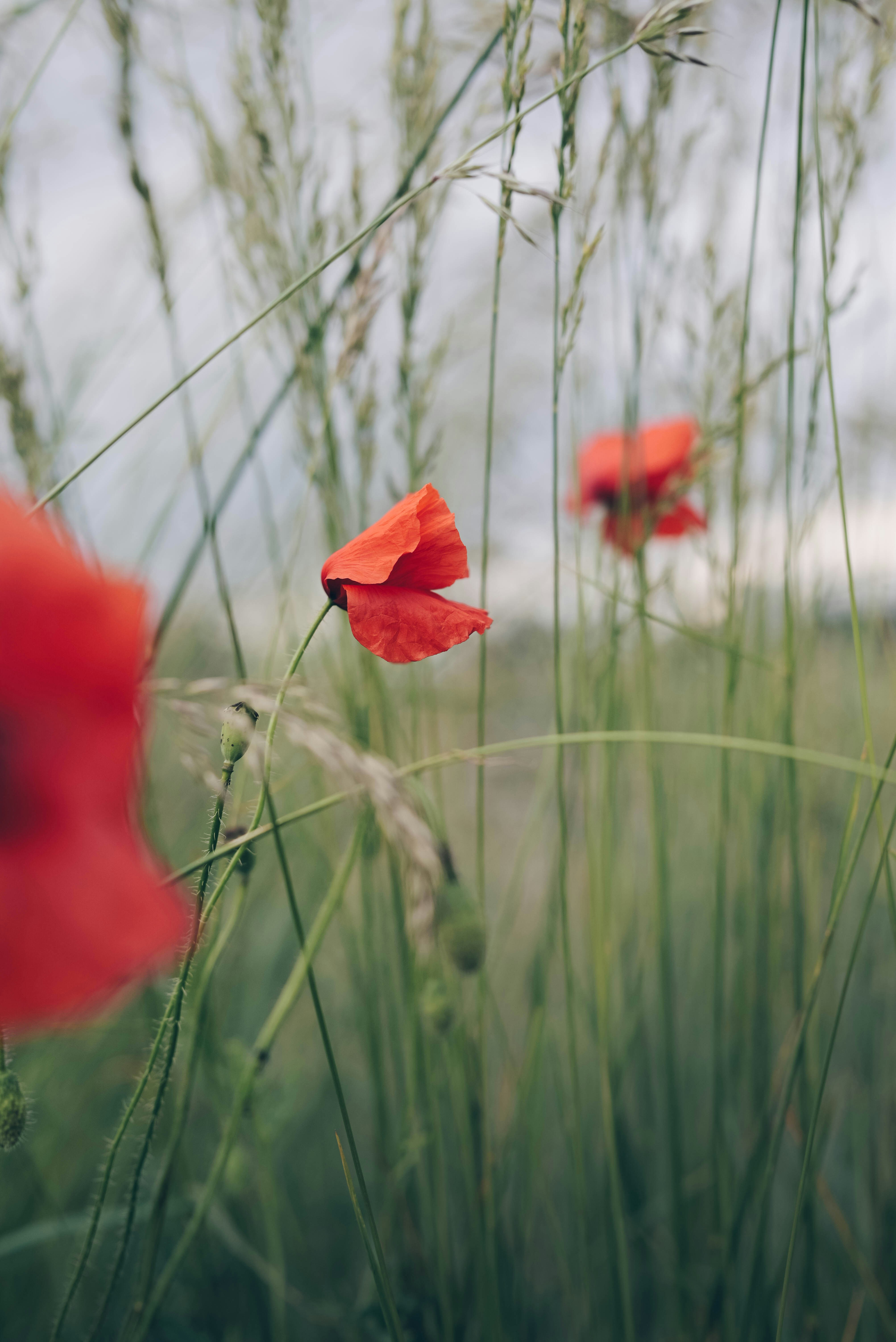 Photo by greenmood