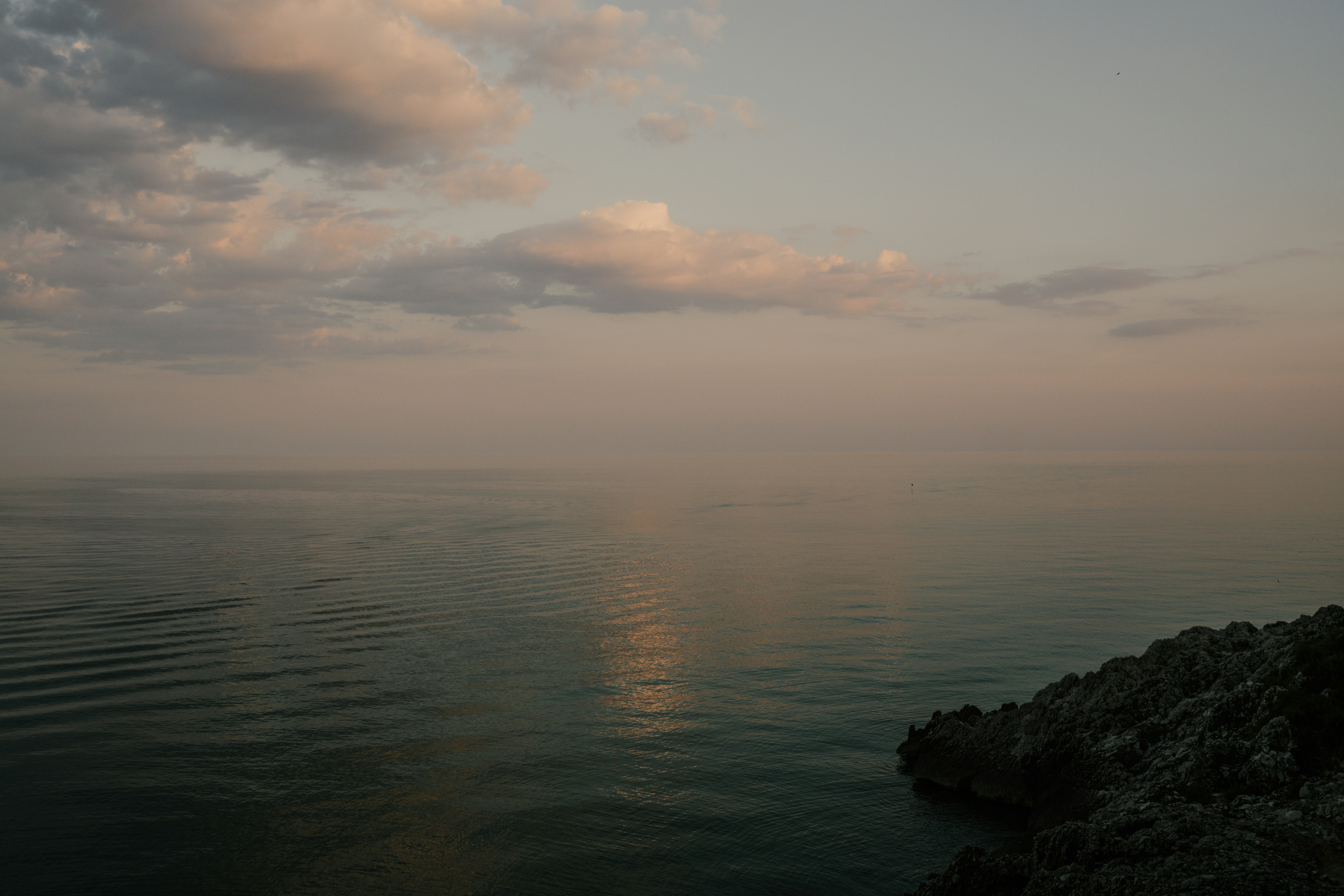 Photo by avivace