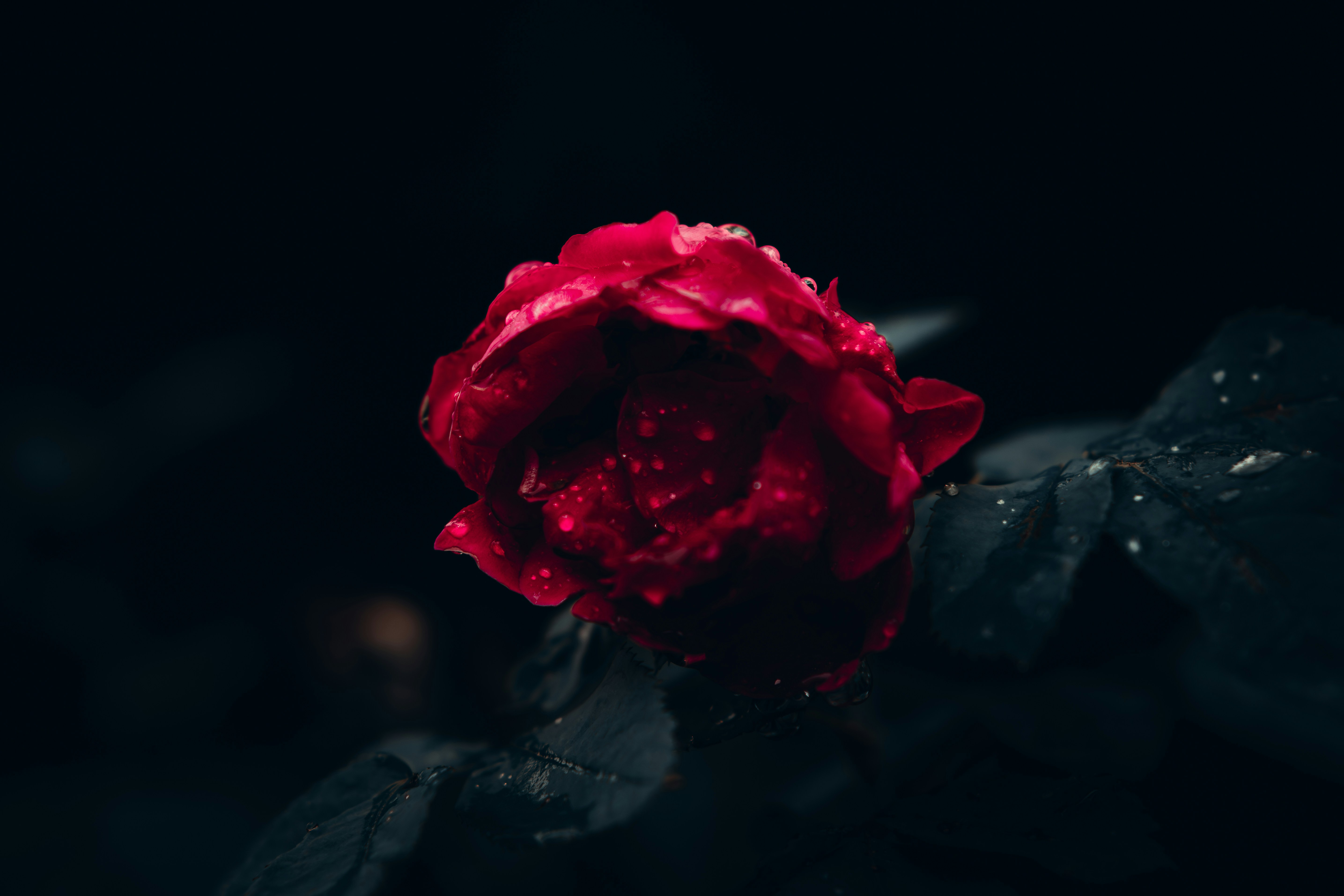 Photo by probe2k