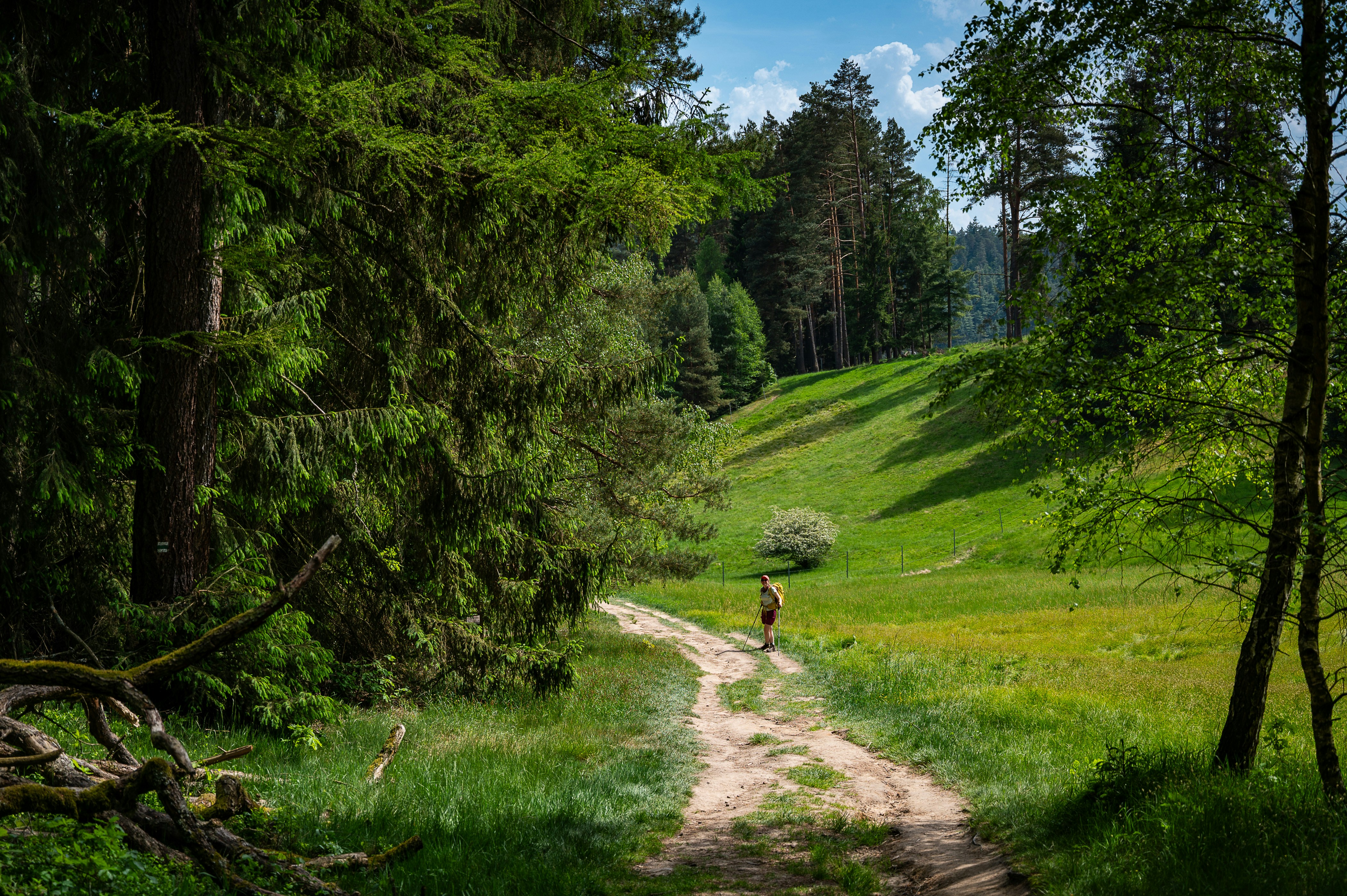 Photo by szamanm