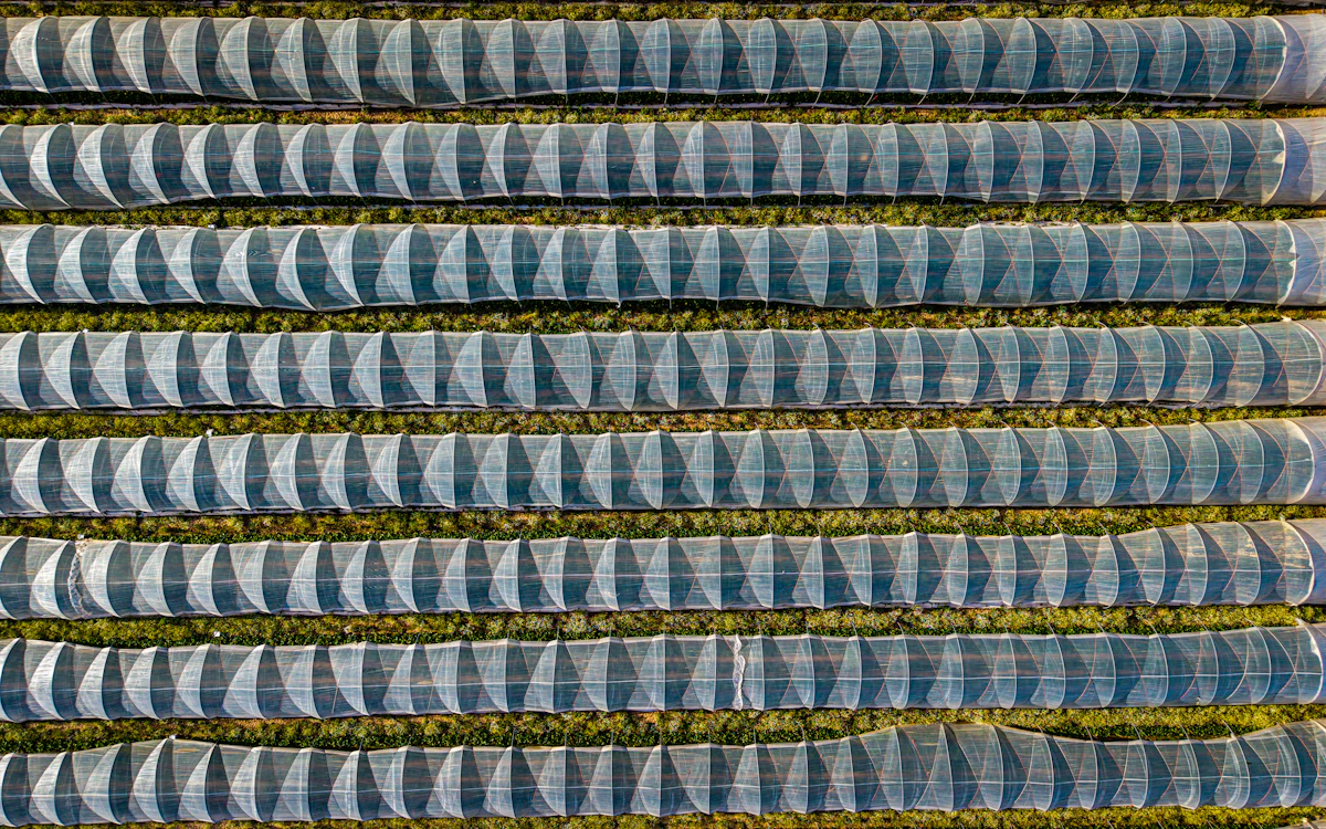 Greenhouse complexes