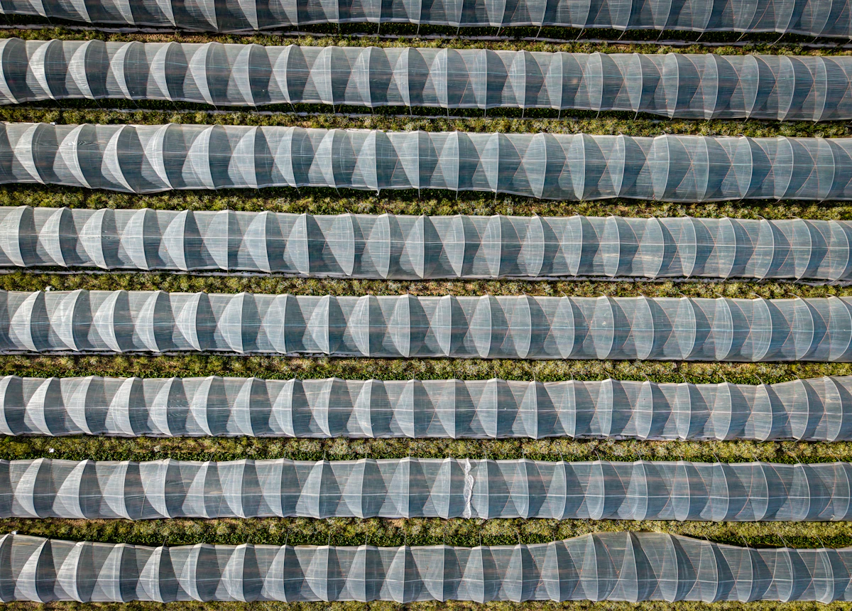 Patterned fields under protective covers