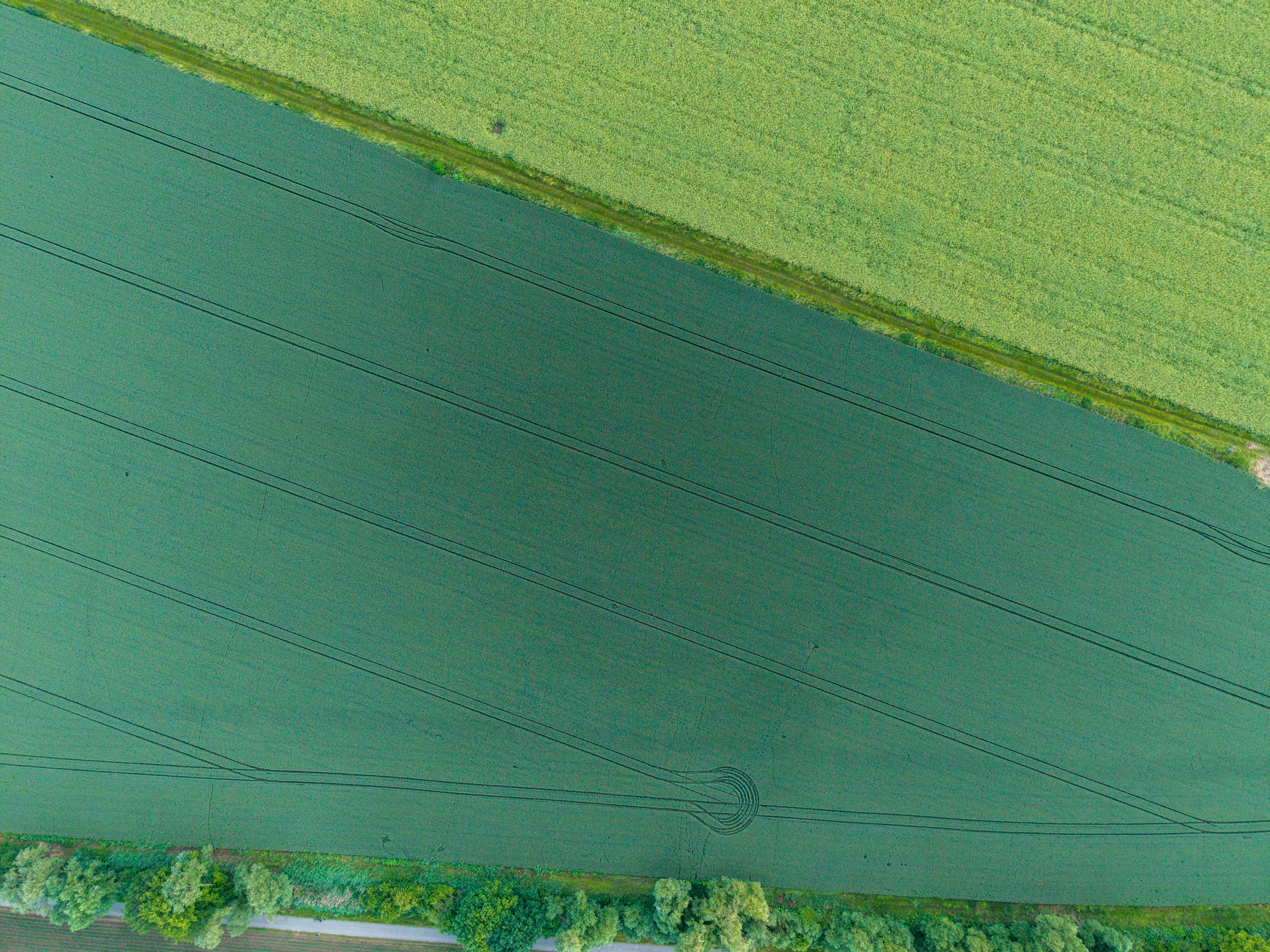 Aerial view of green farm fields