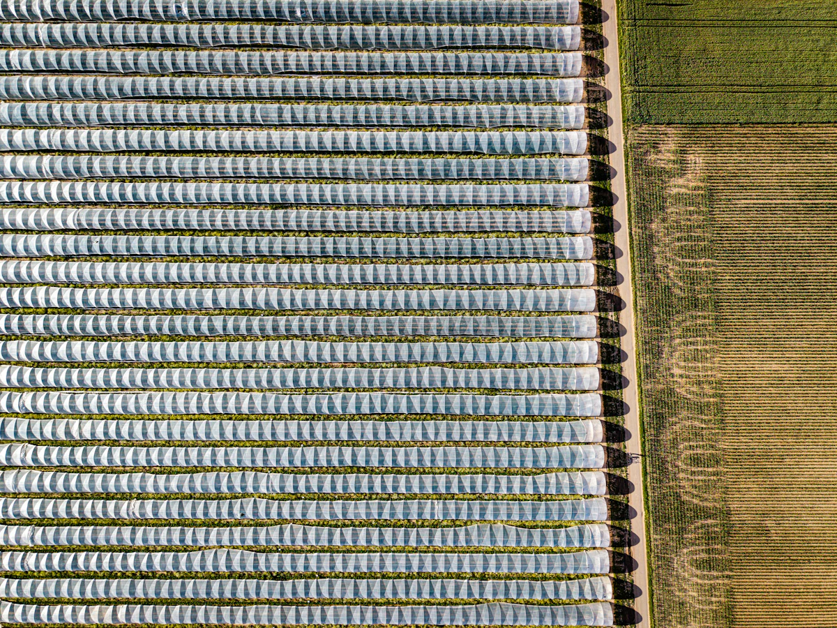 Aerial covered crops beside fields