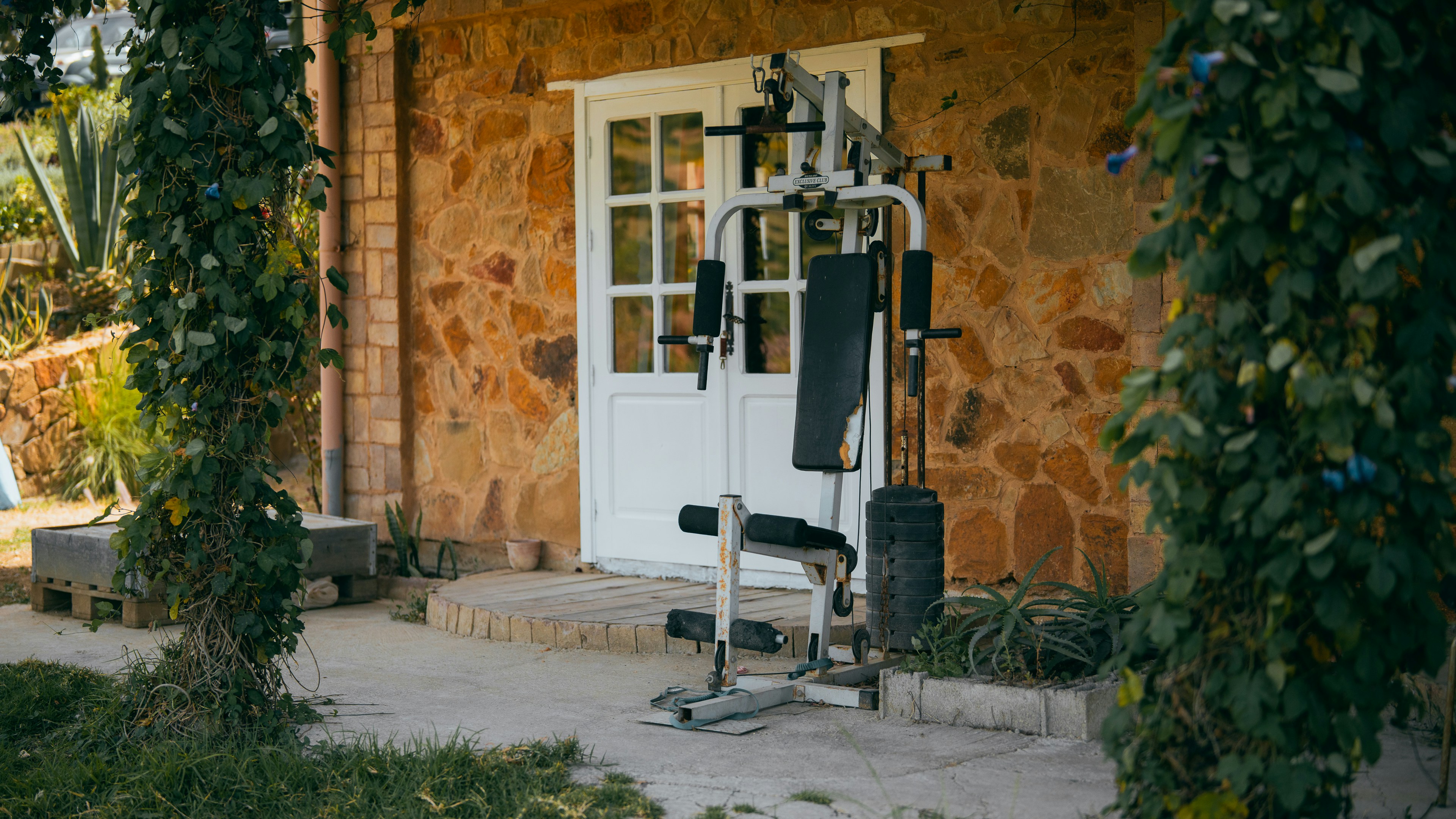 modern white home gym, wallpaper, White Home Gym Design Inspiration: Create a Bright, Zen Space 6