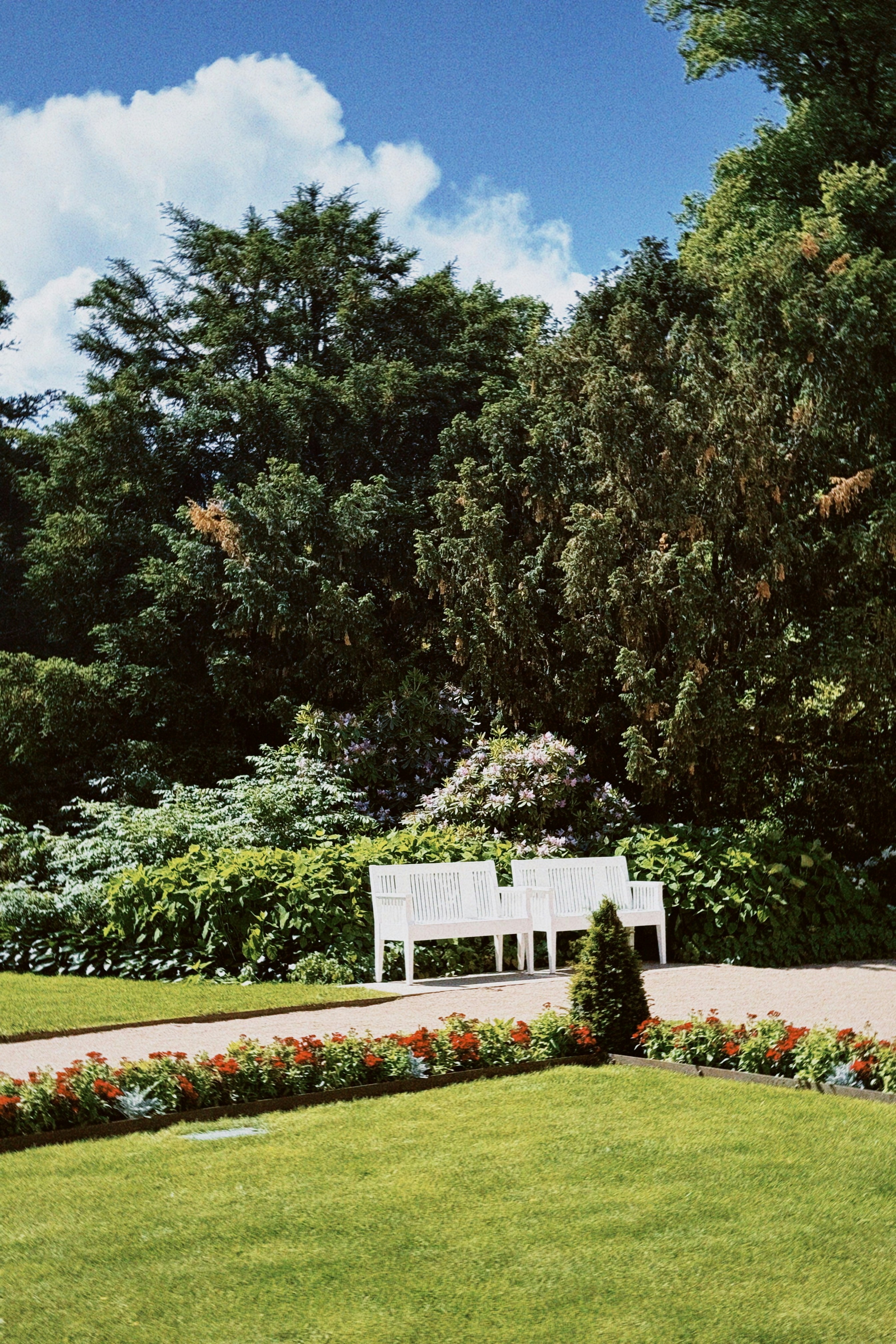 White bench in a vibrant green park with red flowers
