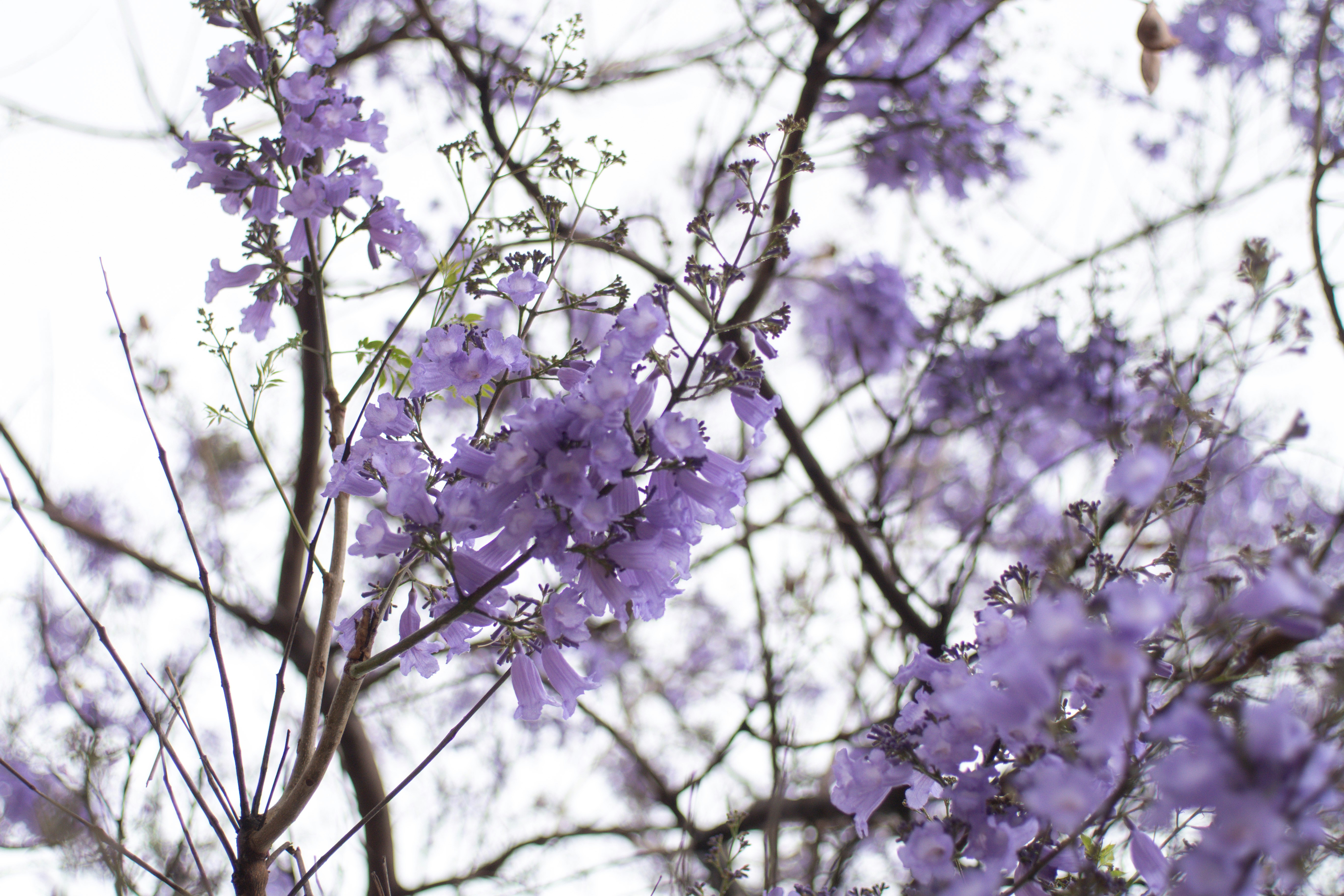 Photo by safolka