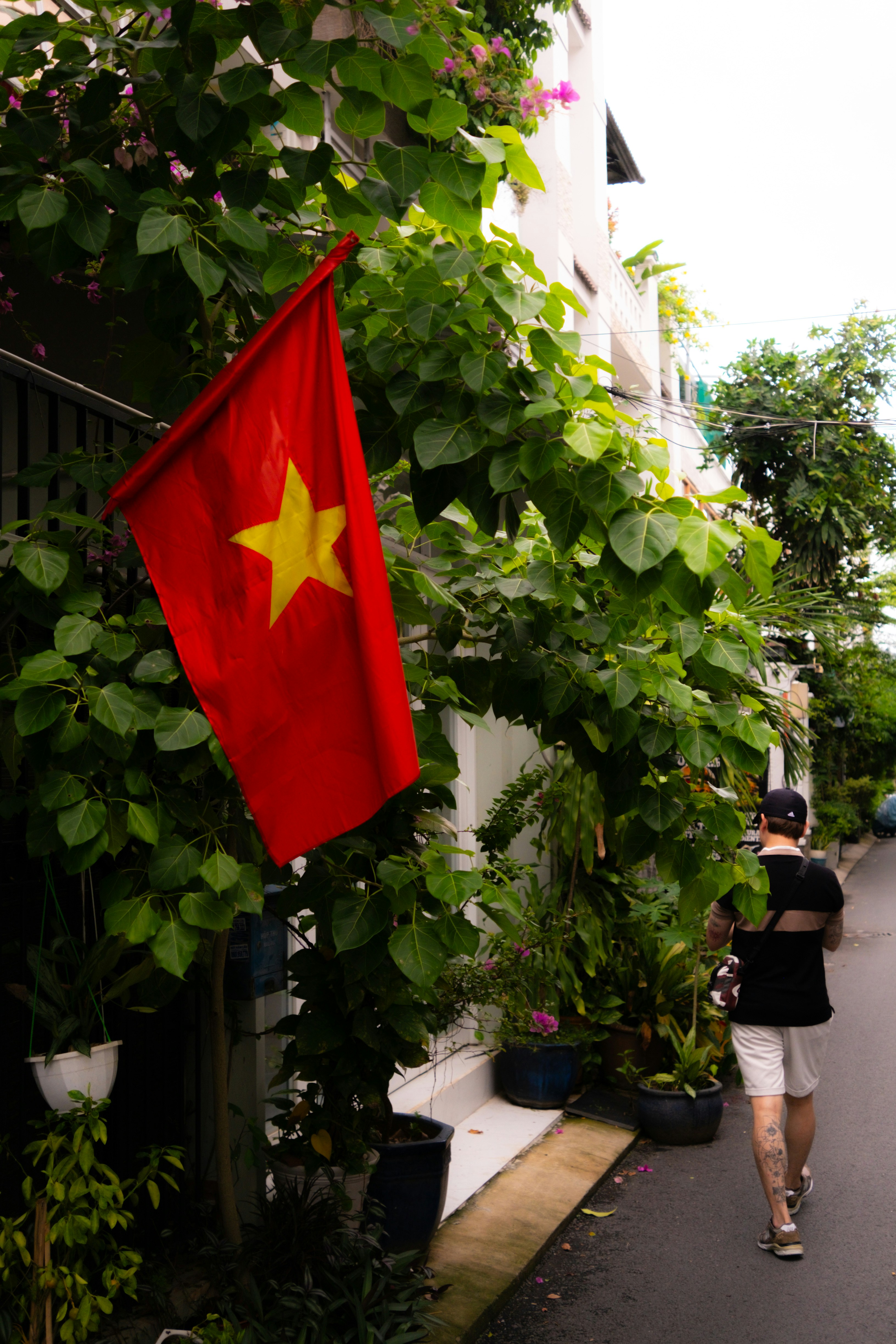 Vietnamese flag and lush greenery on a narrow street.
