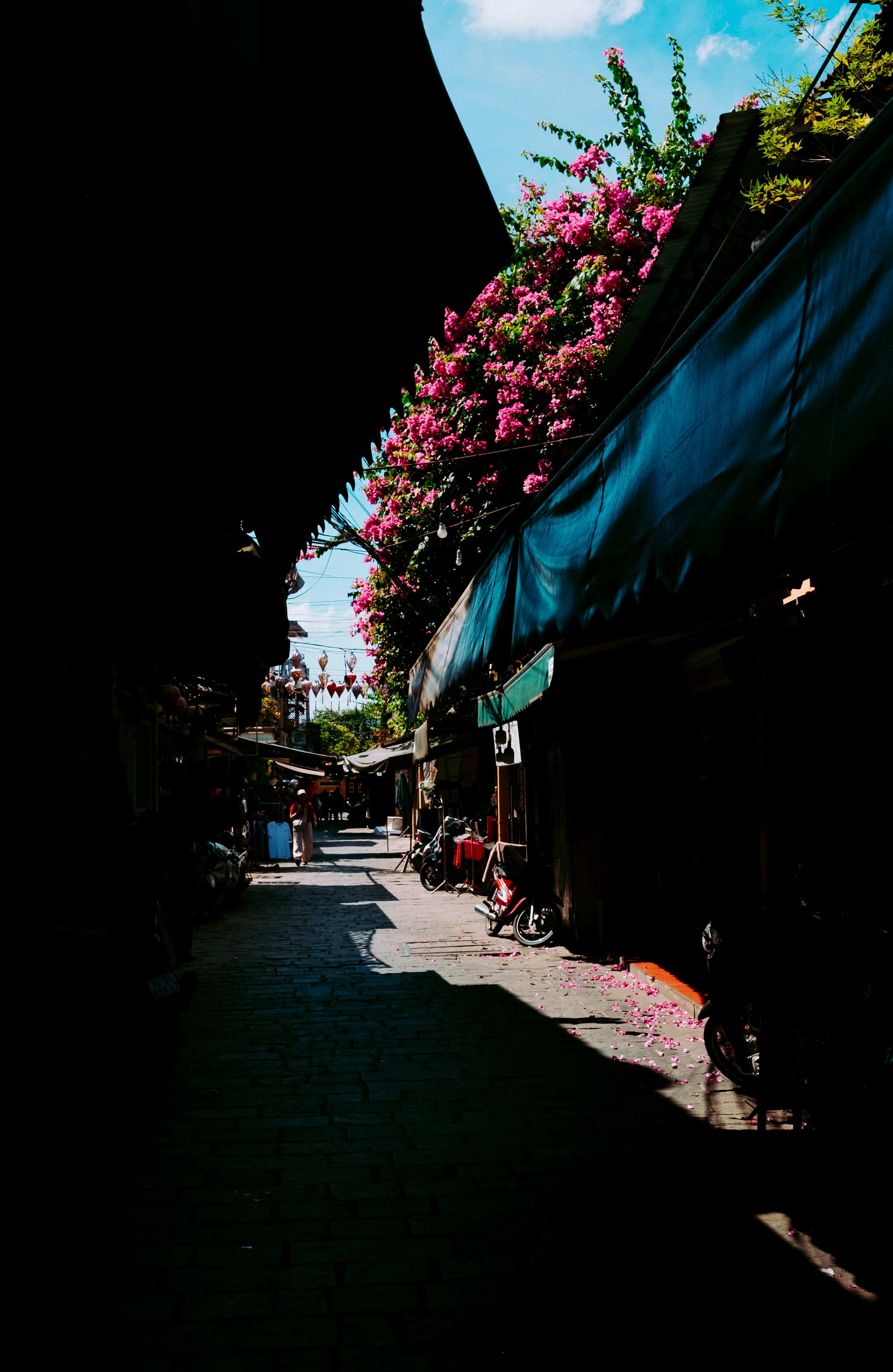 Photo by jeswinthomas