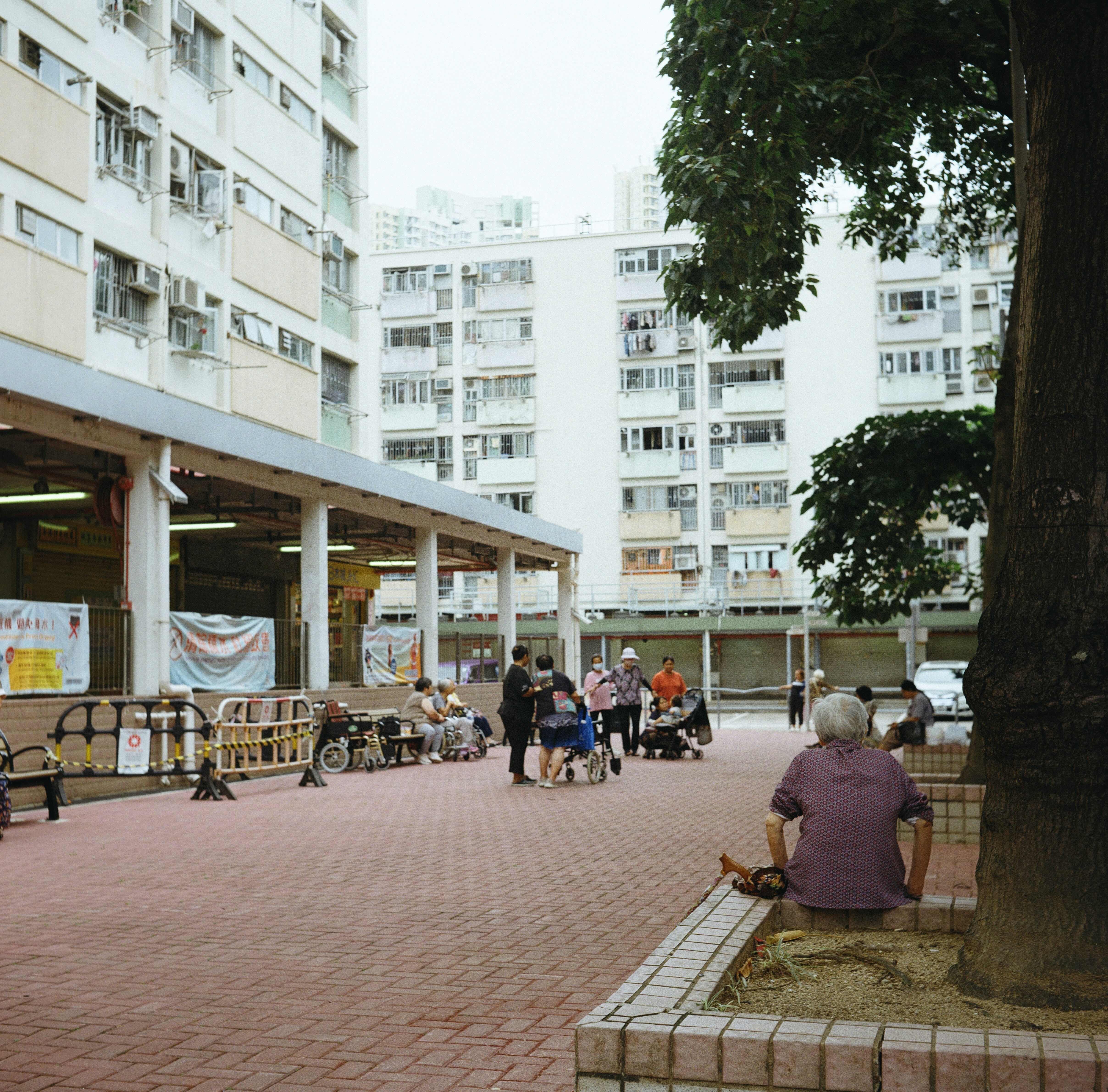 Elderly people gather in an urban square with residential buildings.