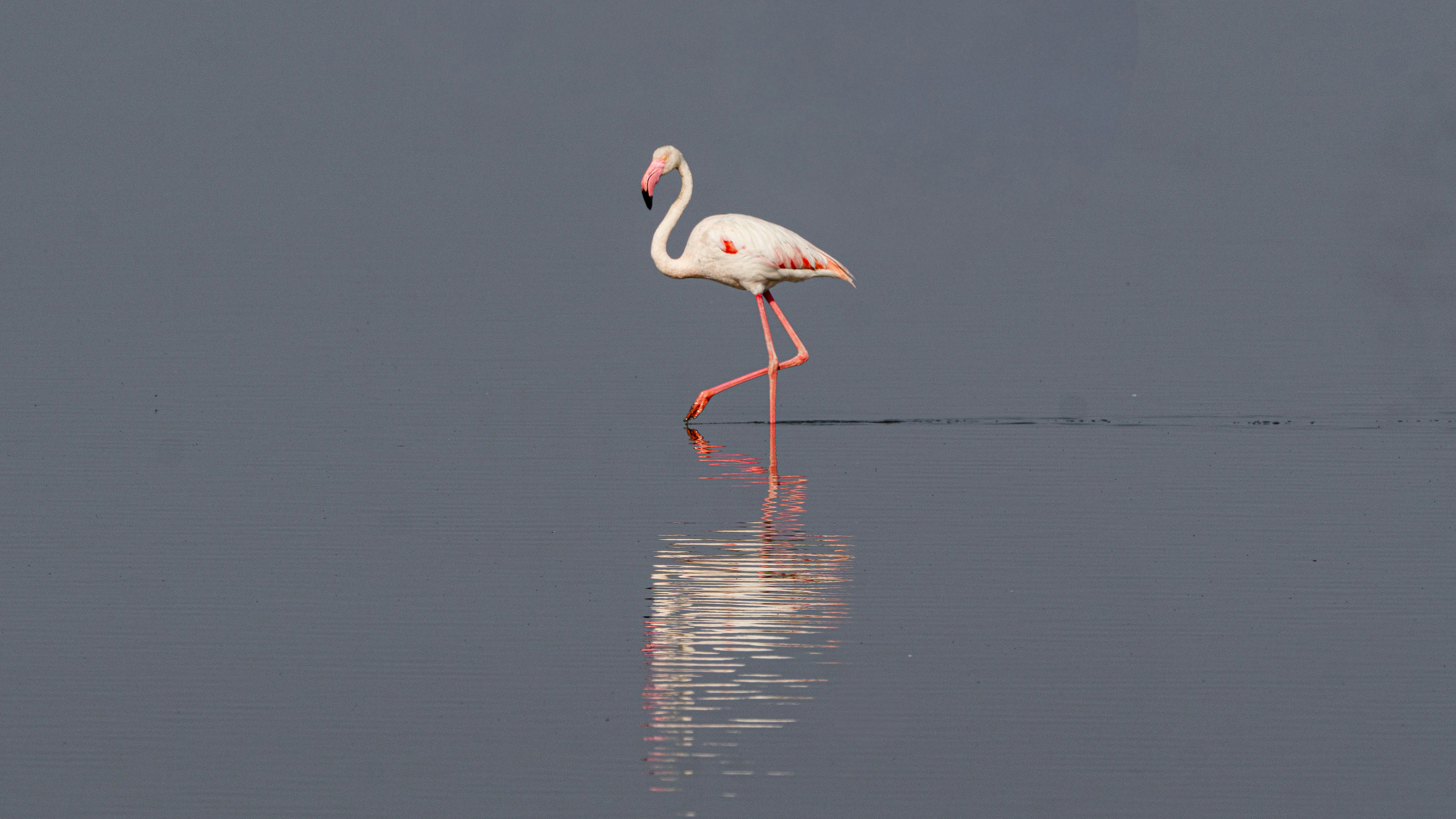 Photo by vatravoda