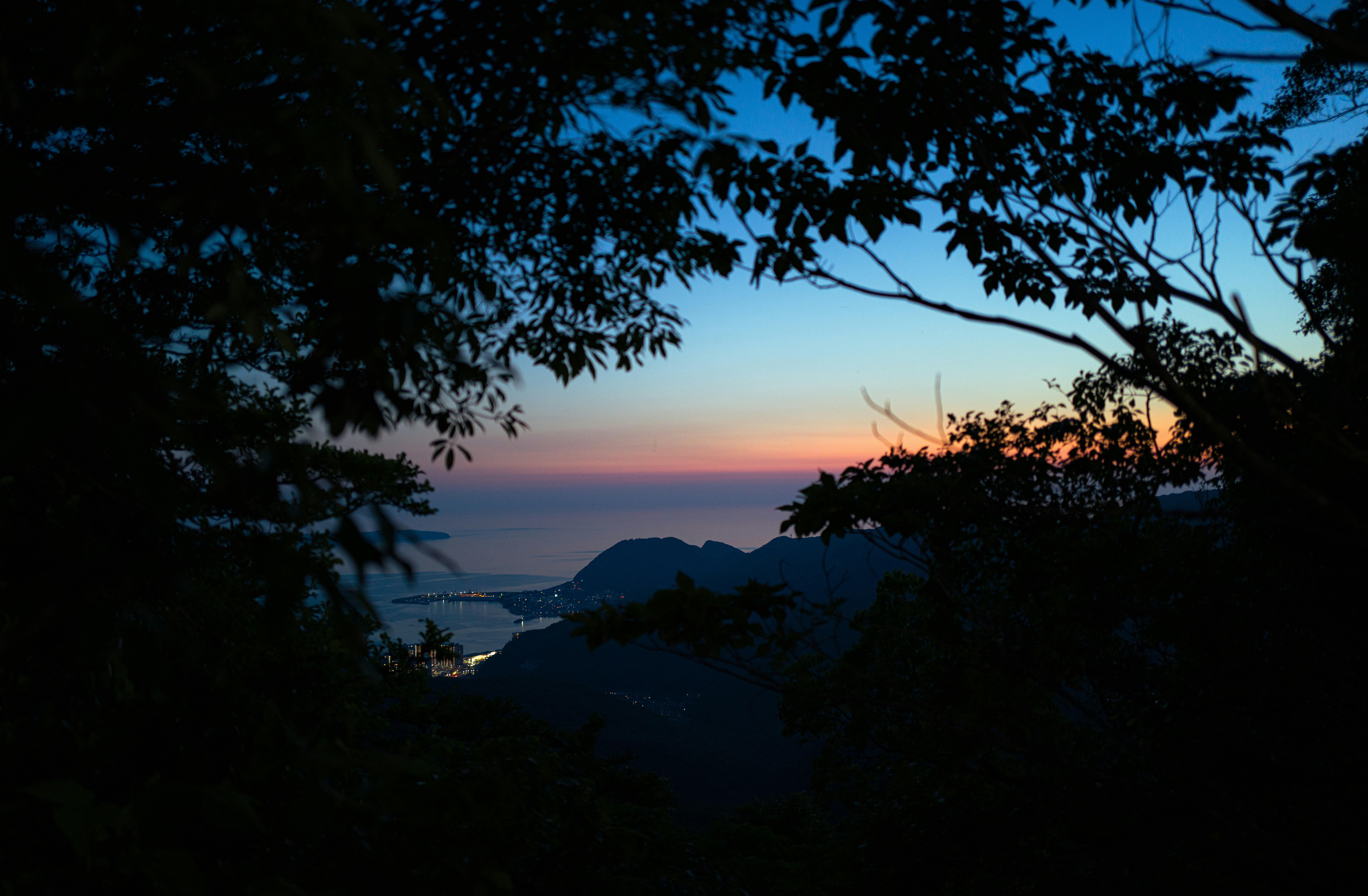 Sonnenuntergang über fernem Ozean, eingerahmt von dunklen Baumsilhouetten.