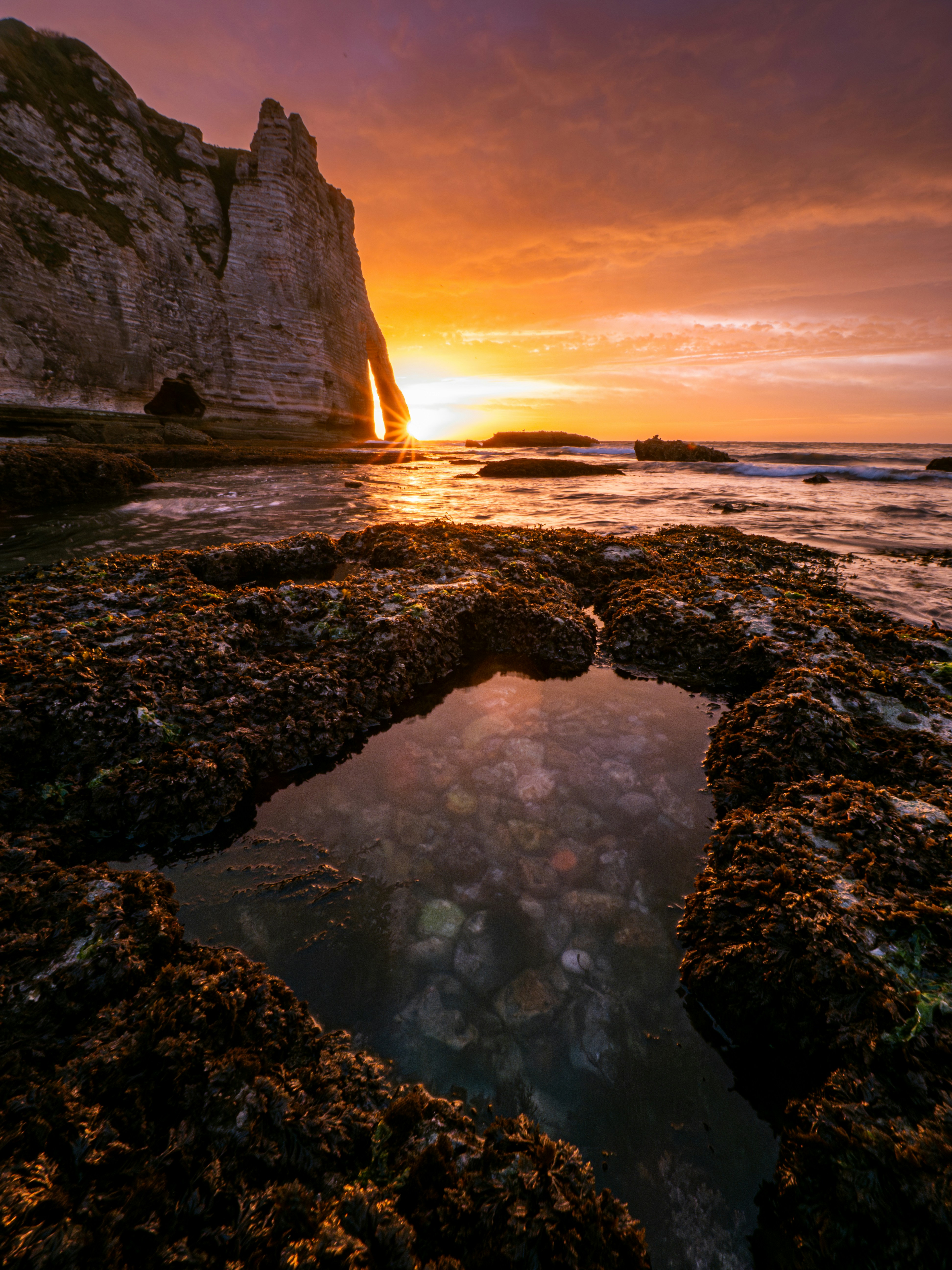 Photo by evgenit