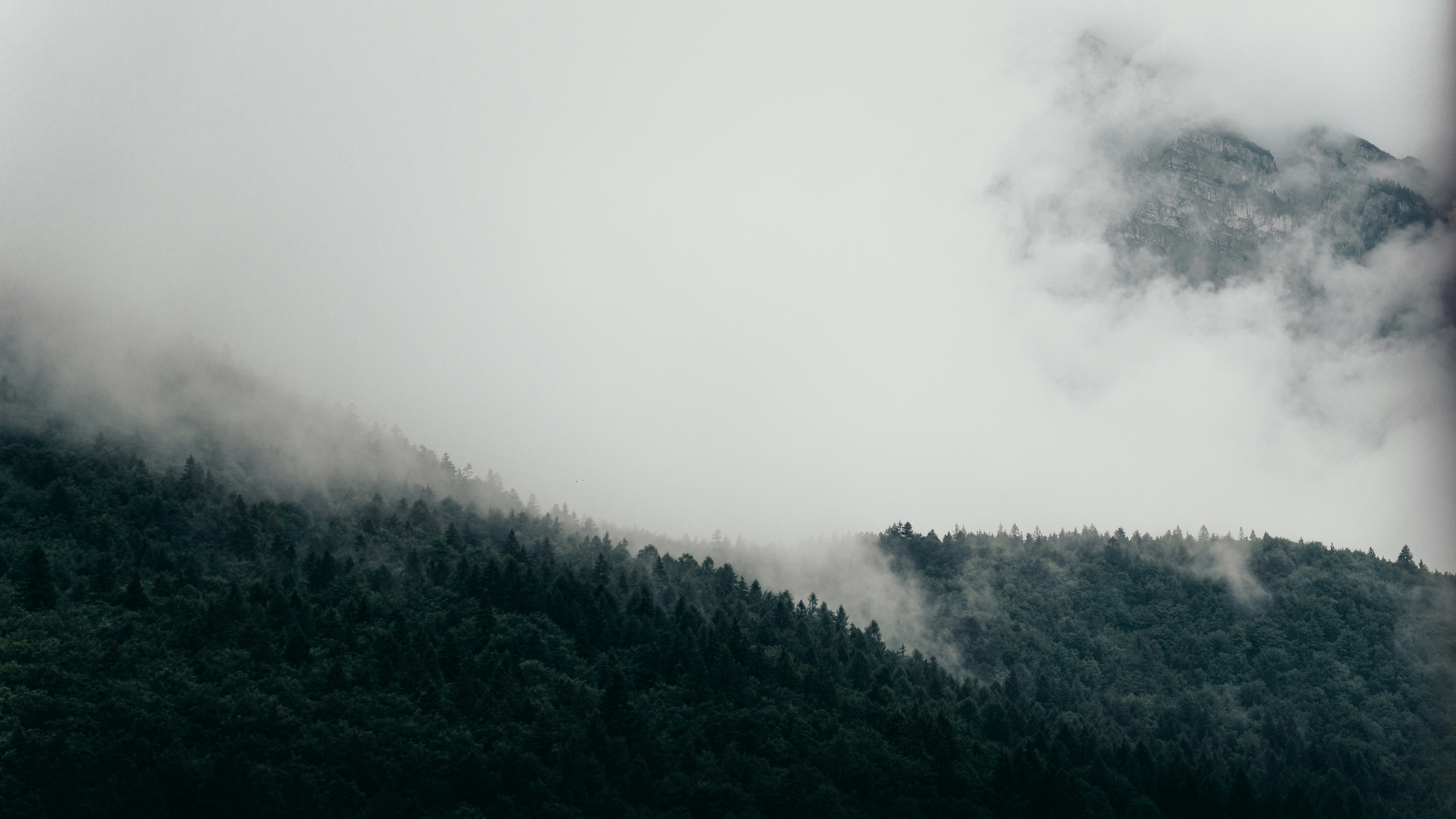 Photo by bielej