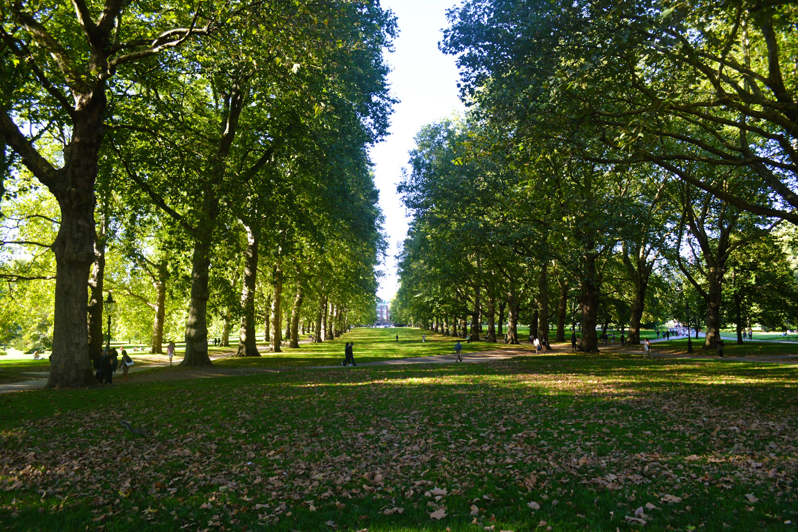The Ritz London: The Byword for British Grandeur on Piccadilly