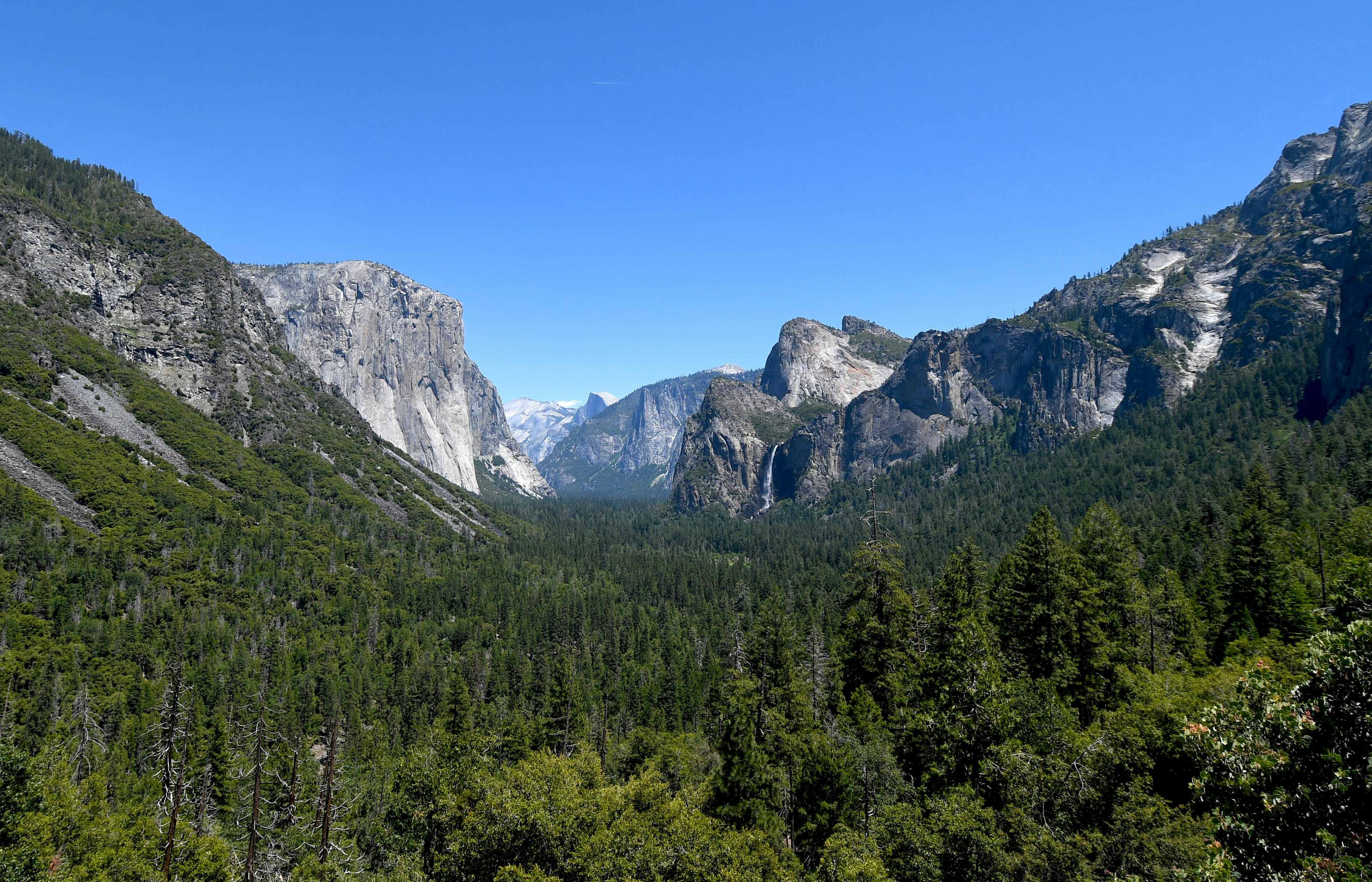 Vallée de Yosemite avec ses falaises granitiques imposantes et une forêt verte dense.