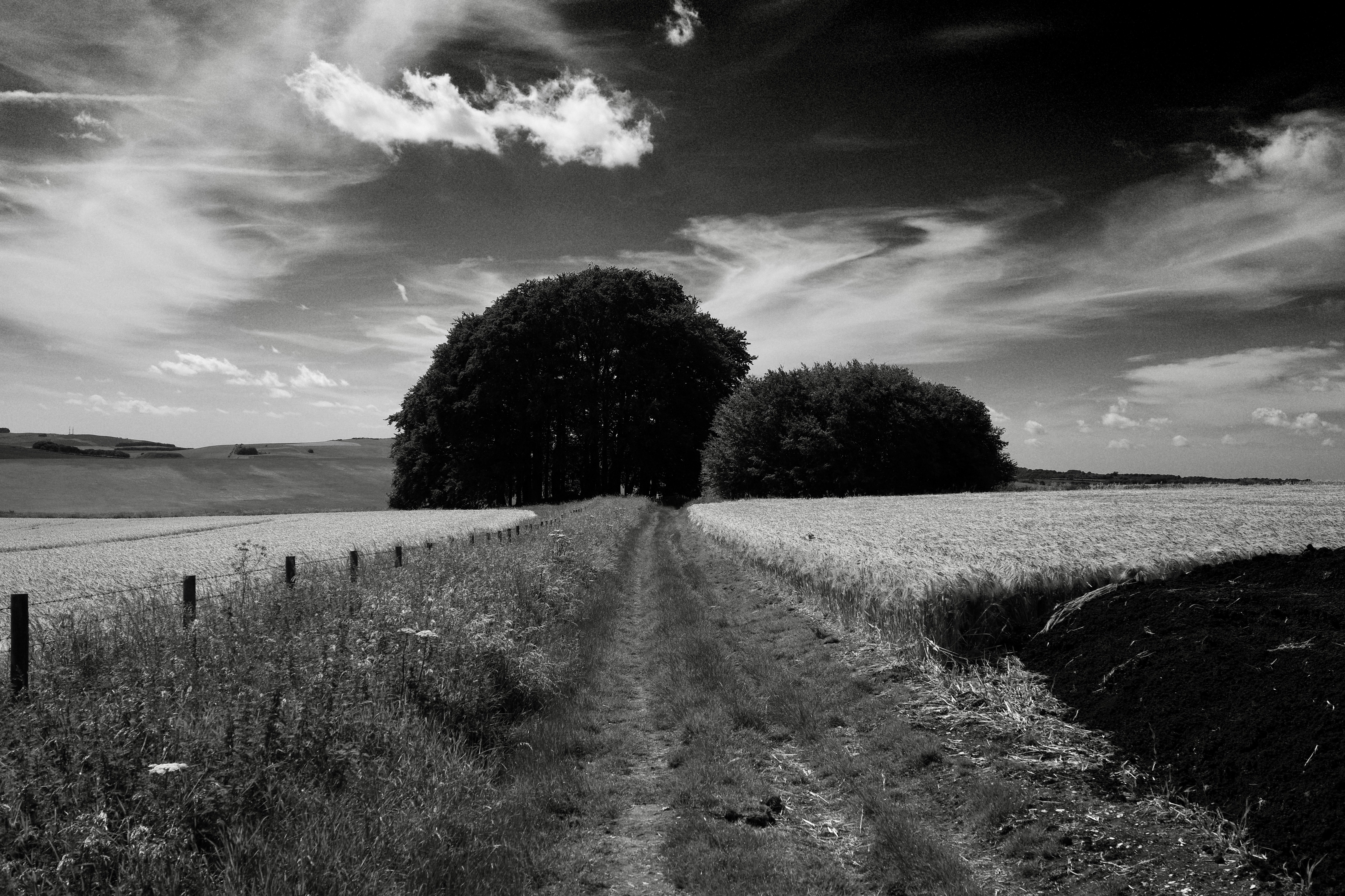 Photo by tomasrobertson