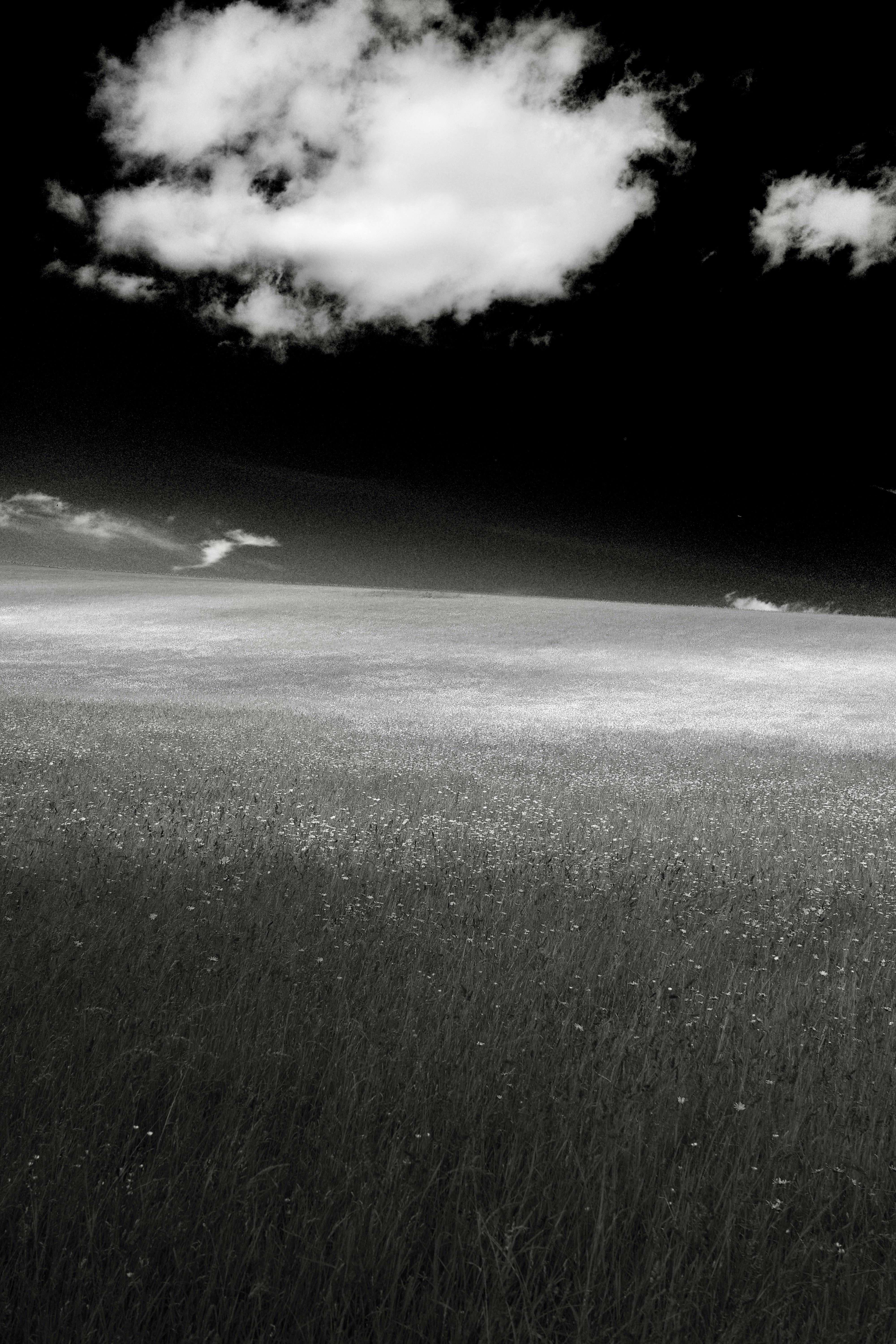 Photo by tomasrobertson
