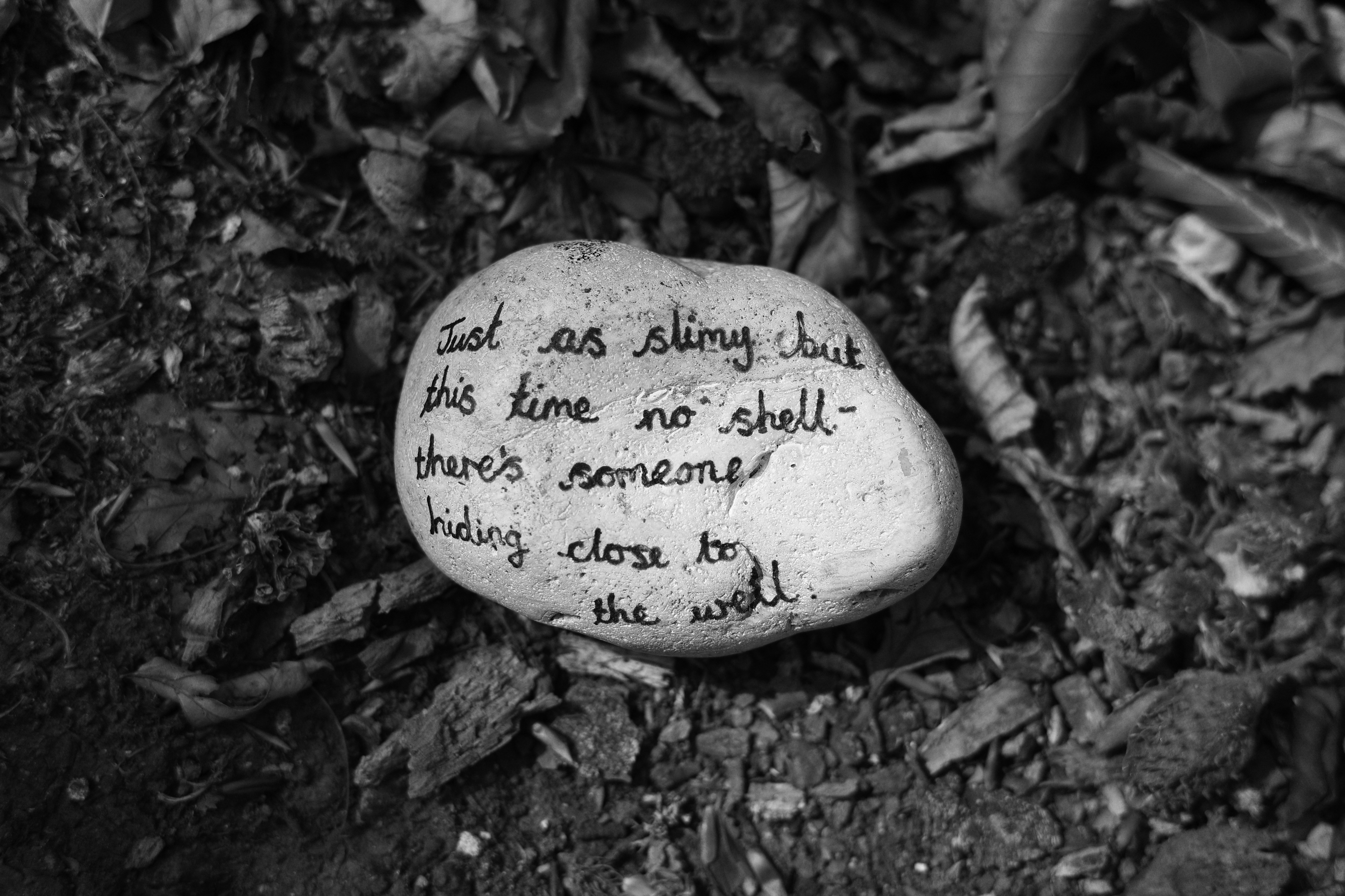 White stone with handwritten text on dark ground.