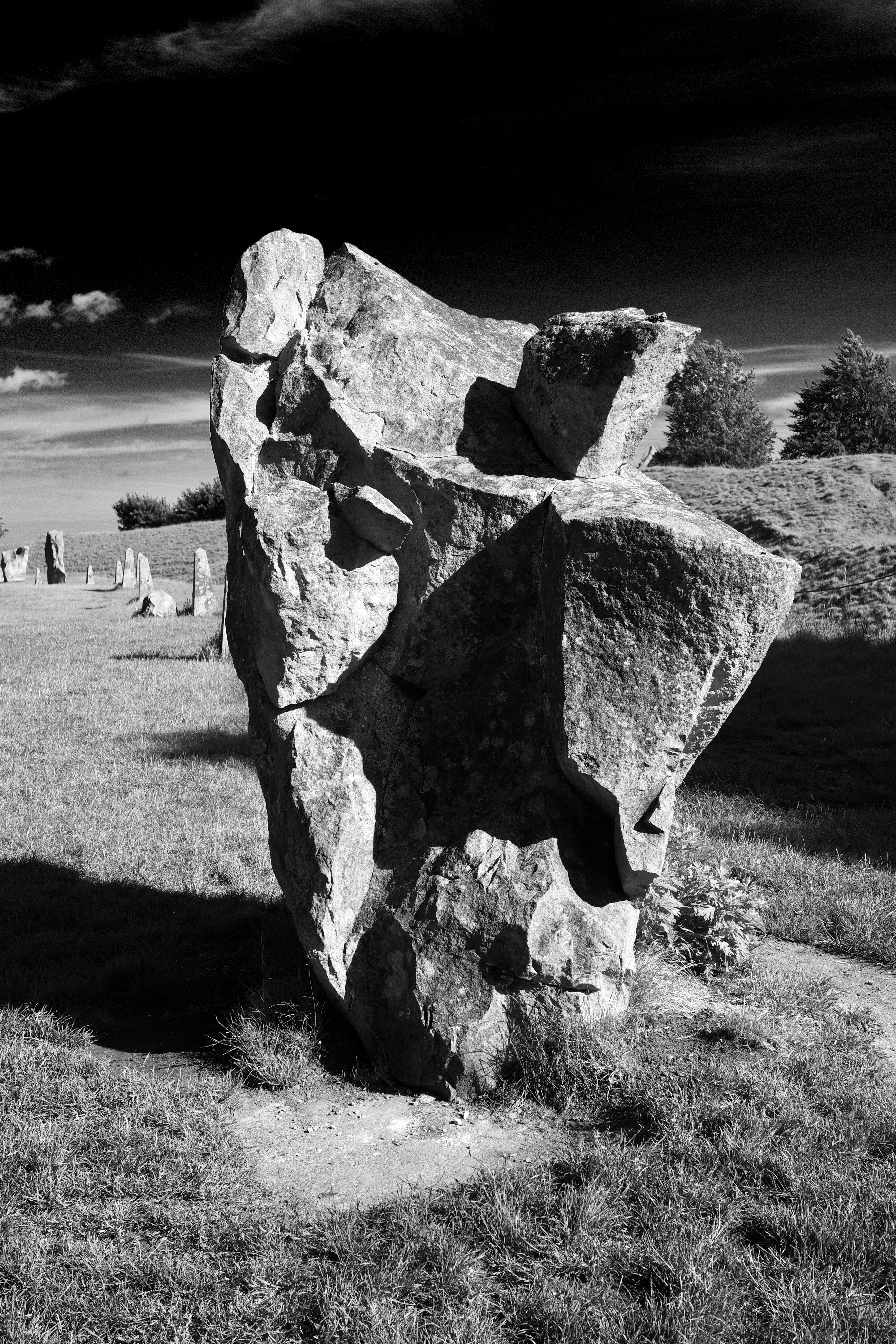 Photo by tomasrobertson