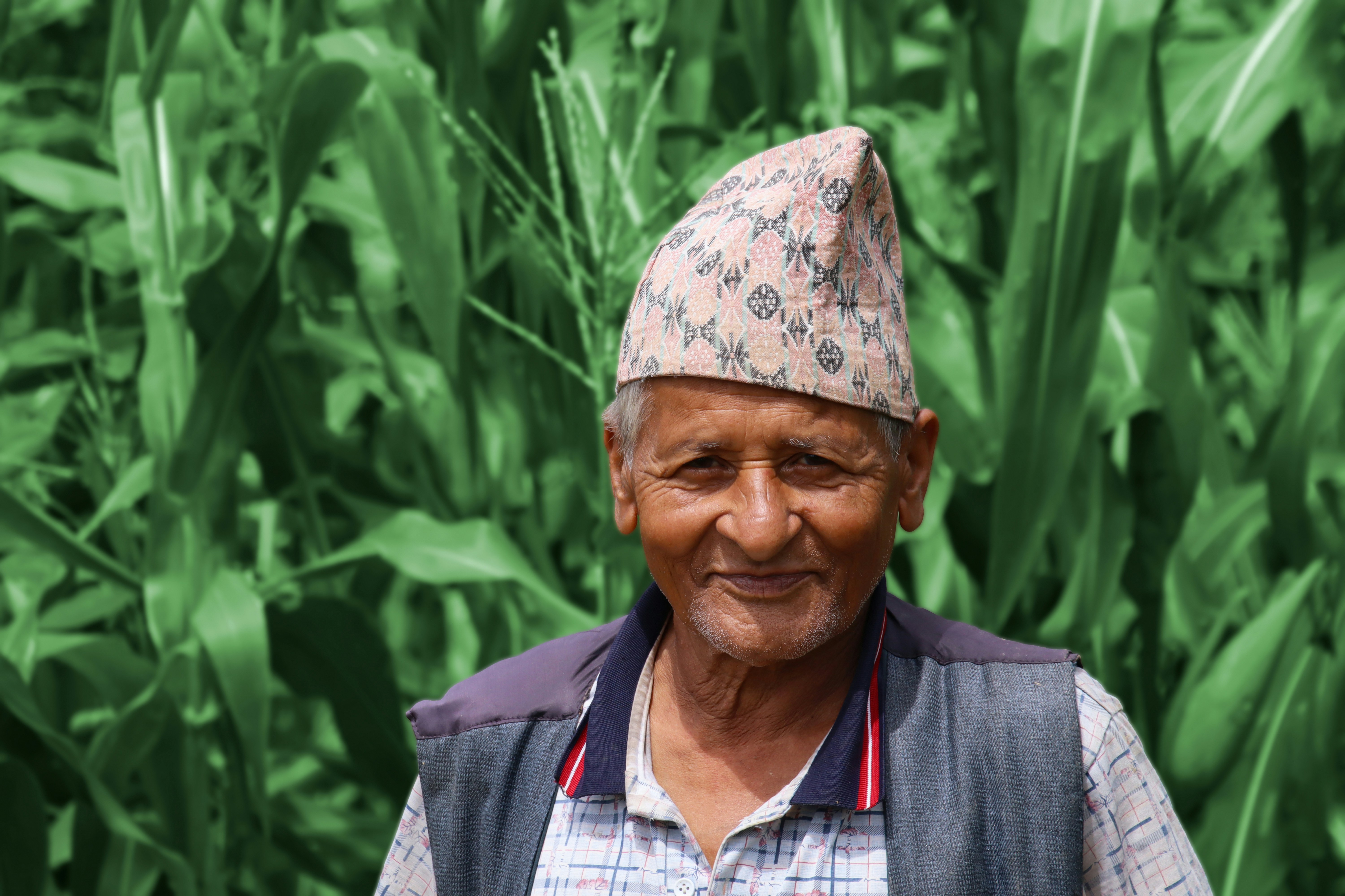 हरीश सिंह