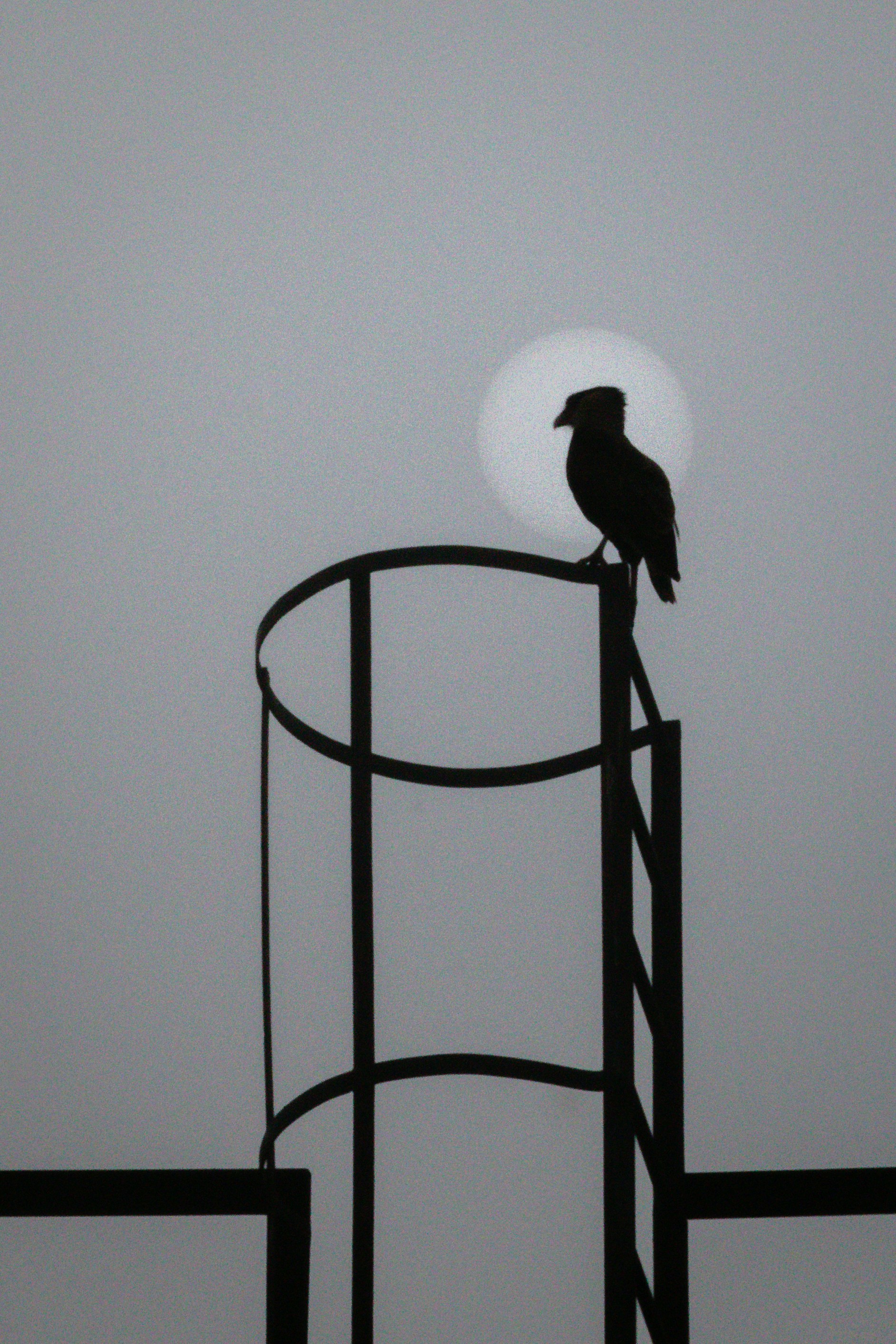 Photo by nature_of_the_experiment