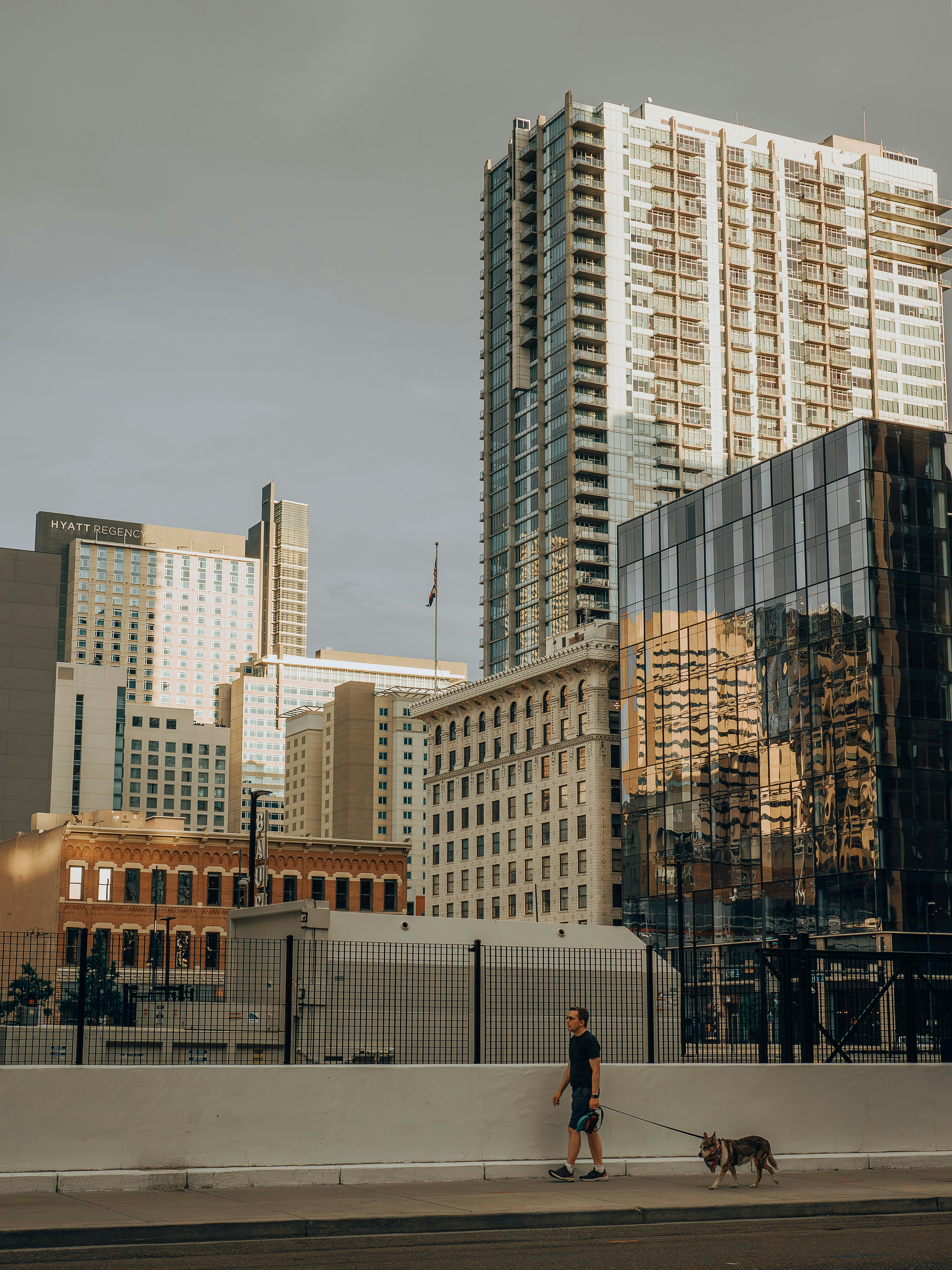 A person walks a dog past tall city buildings