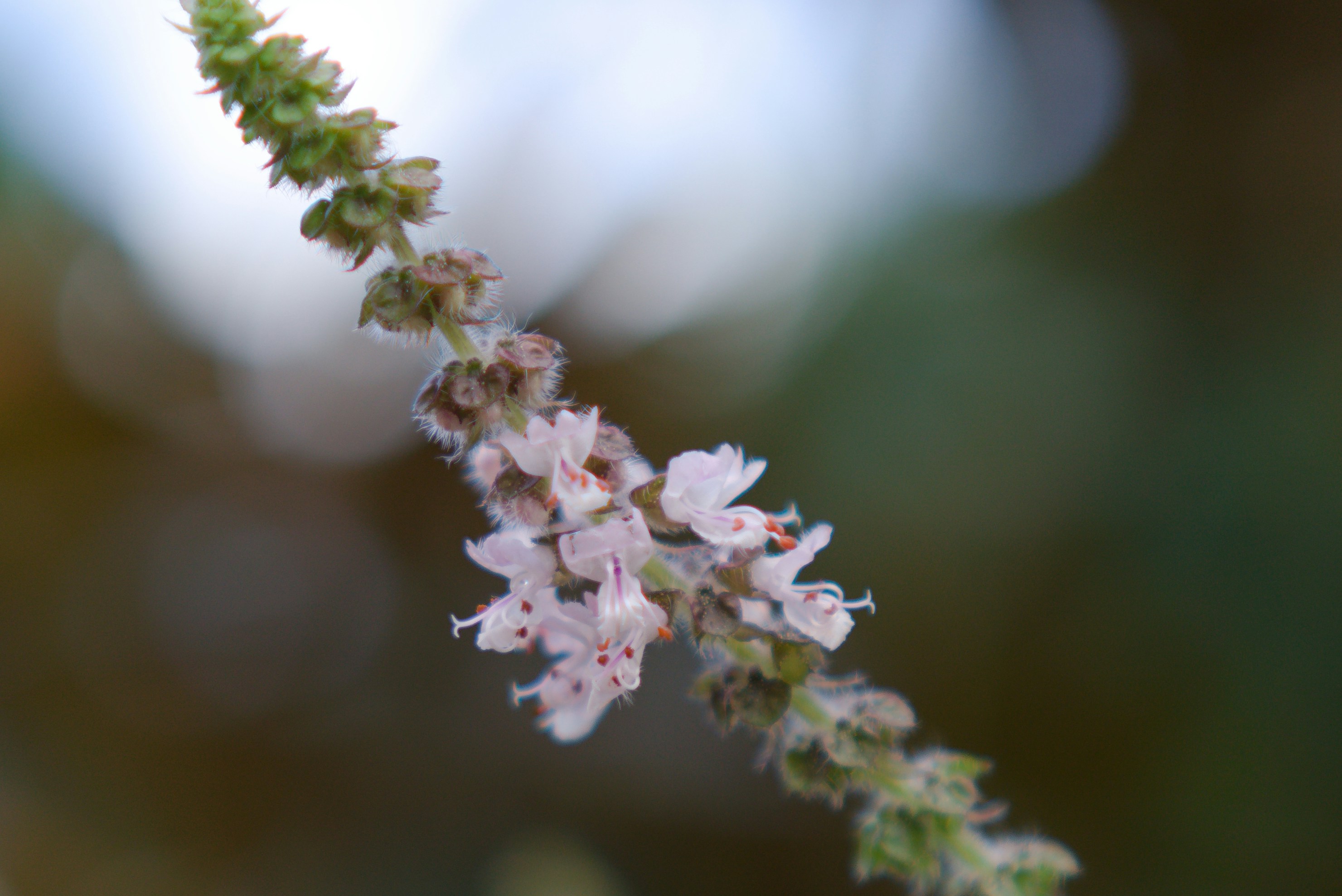 Photo by sumd