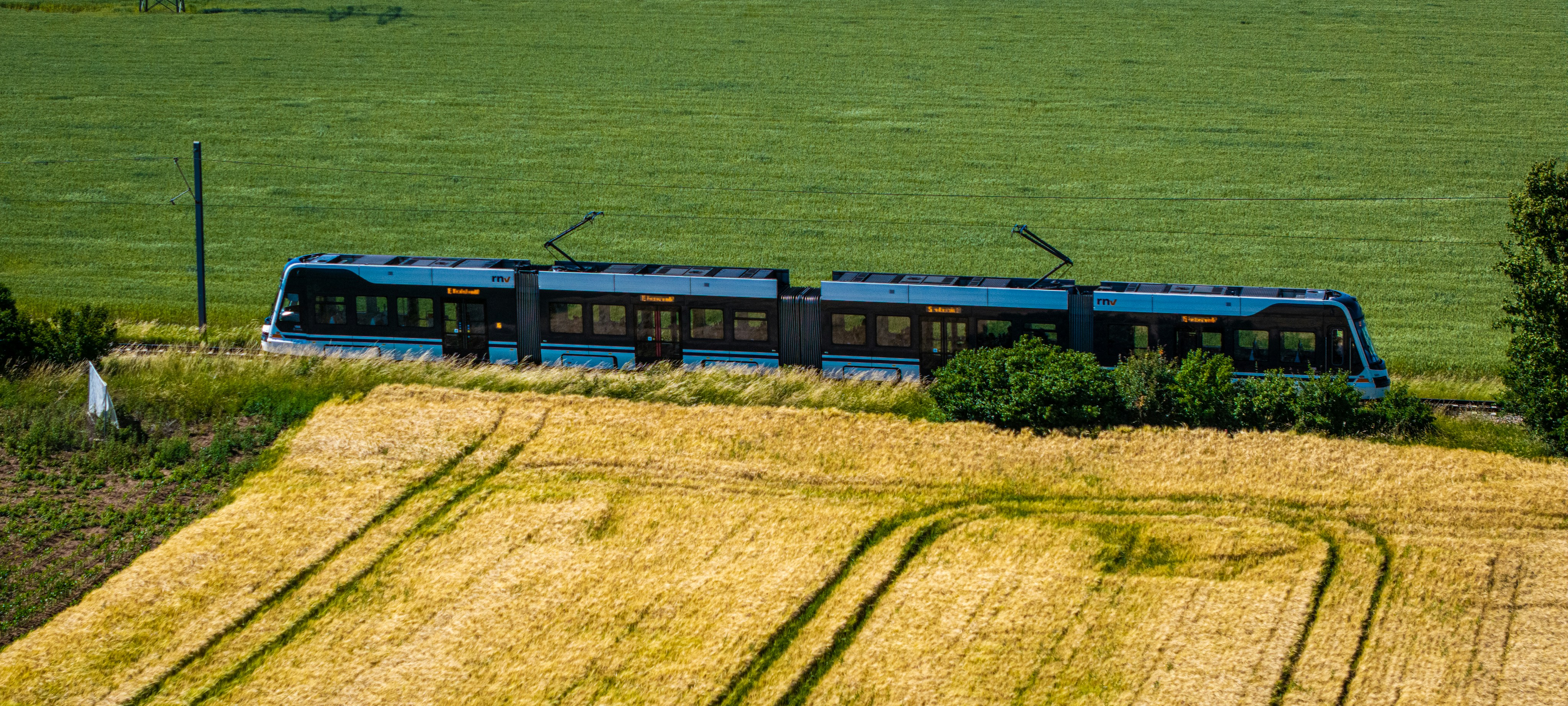 Modern train on tracks between golden wheat and green fields.