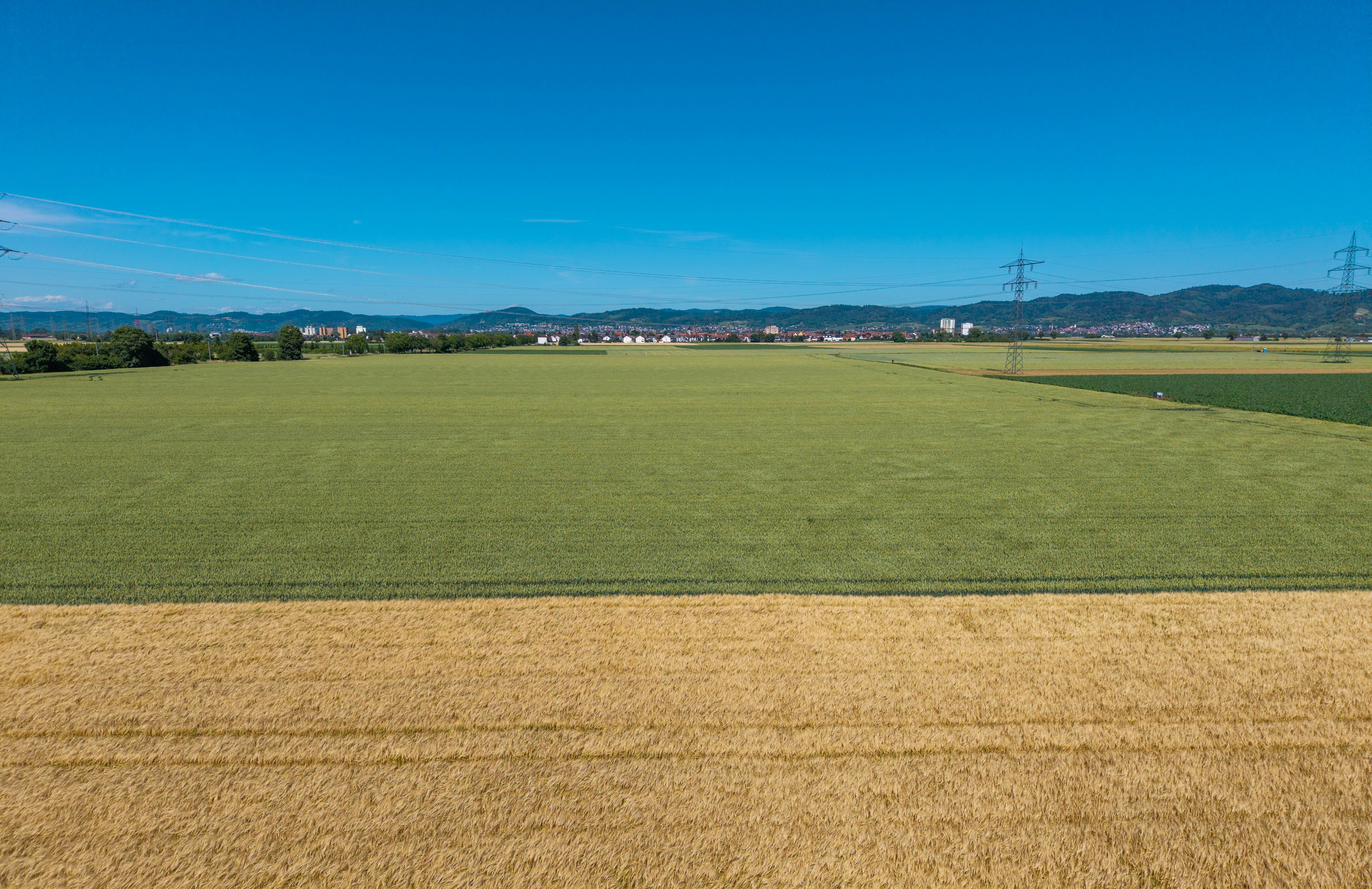 Golden and green fields under a clear blue sky.