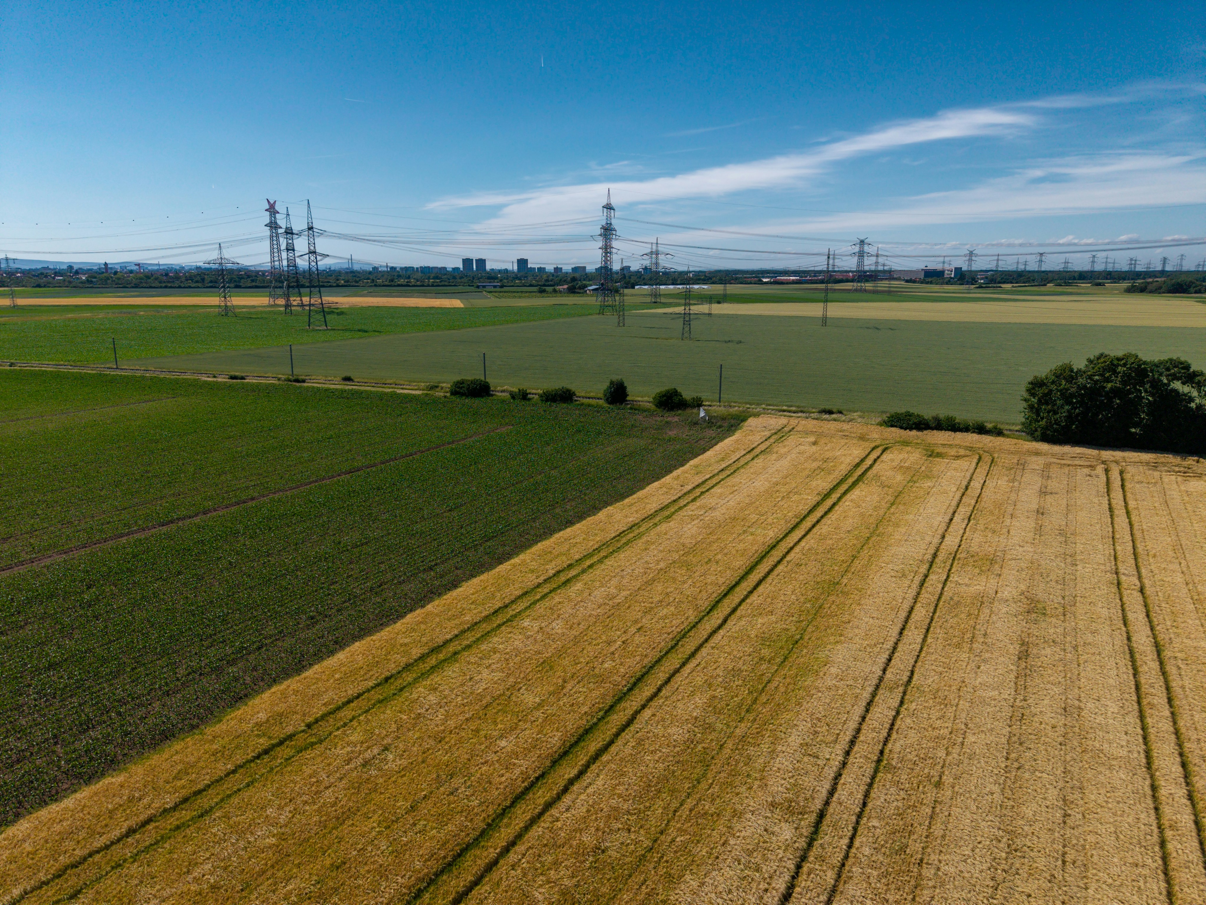 Golden and green agricultural fields with distant power lines.