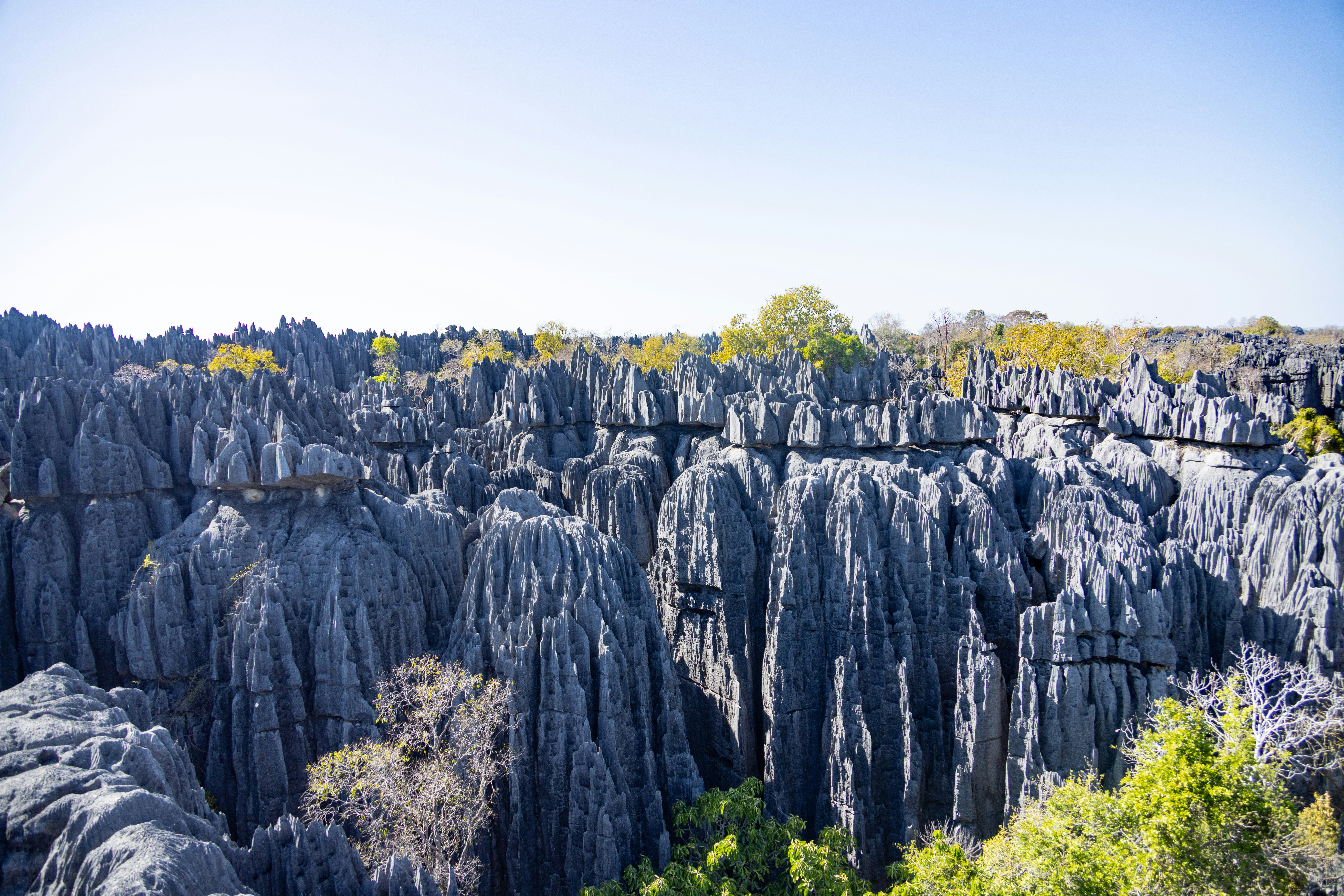 Tsingy De Bemaraha