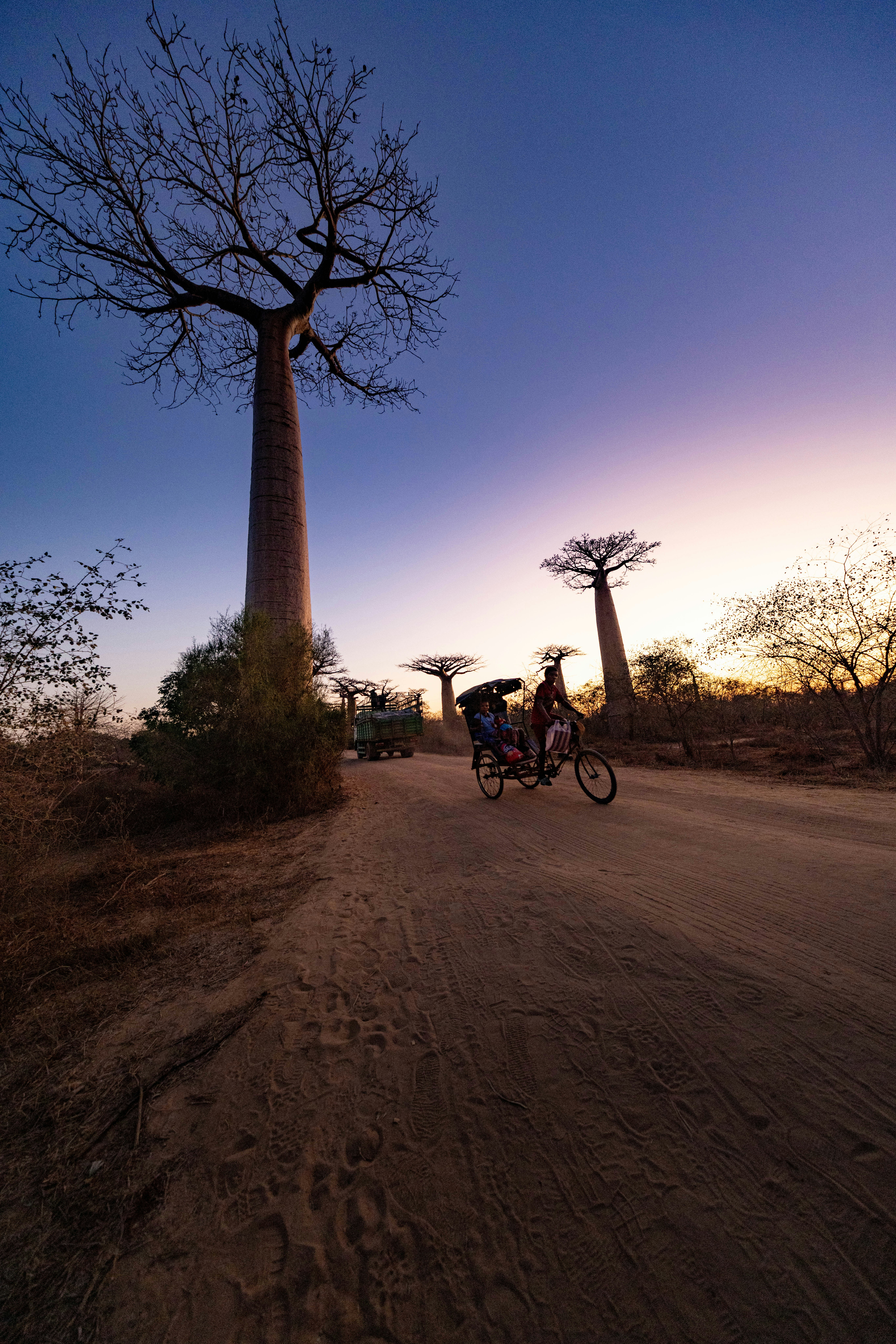 Madagascar, Madagascar — Chameleon night walk with a naturalist