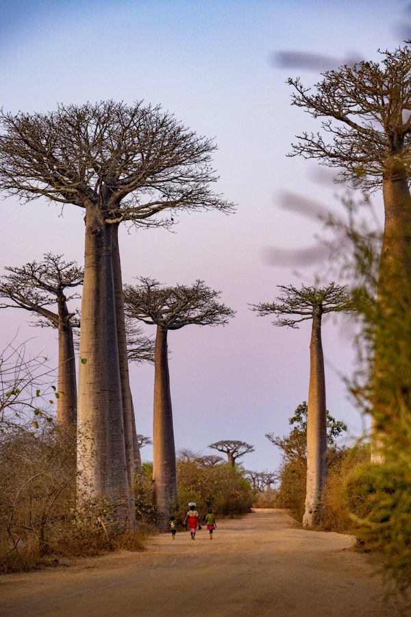 Family walking a rural road in Madagascar