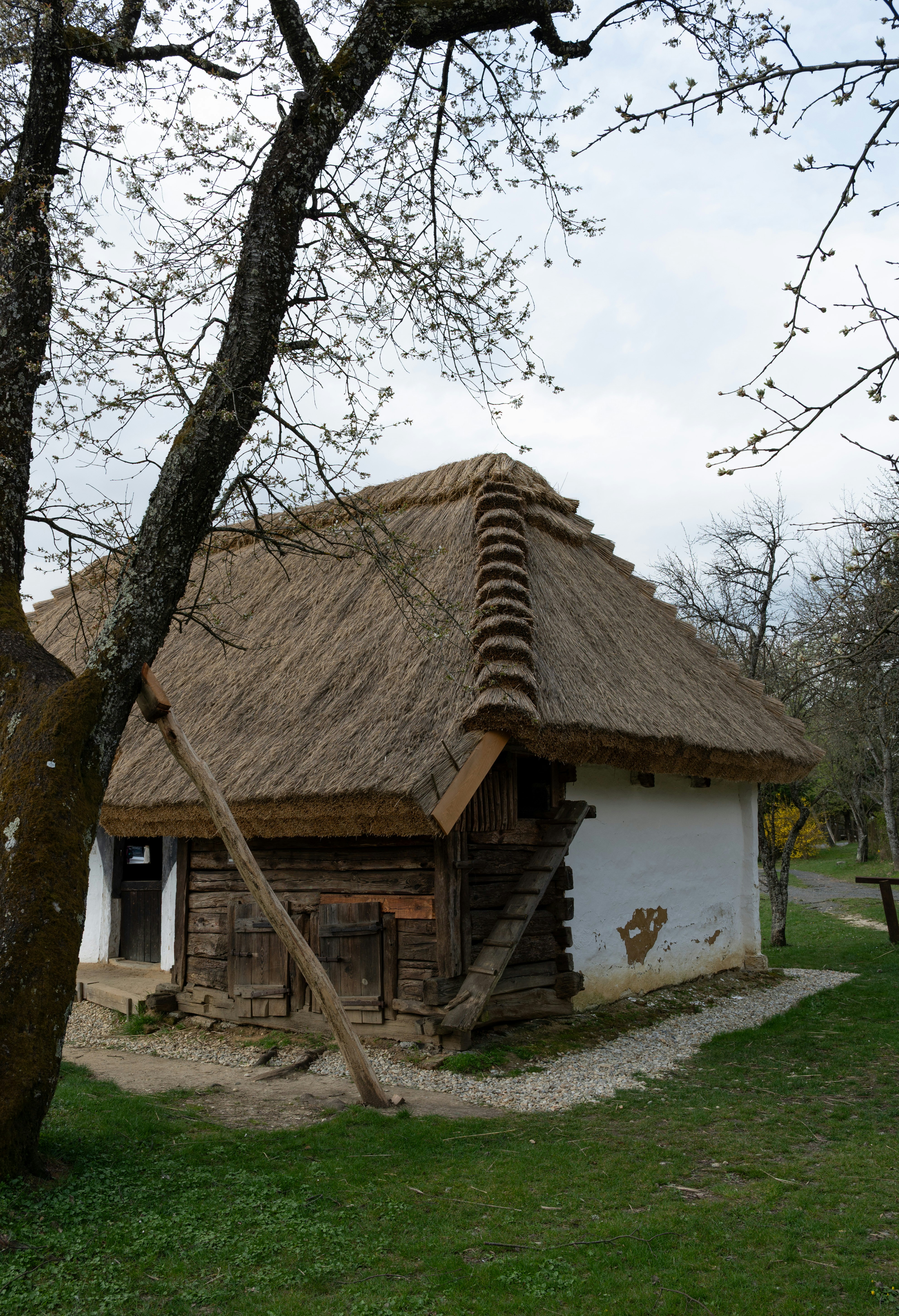 Photo by buduczki